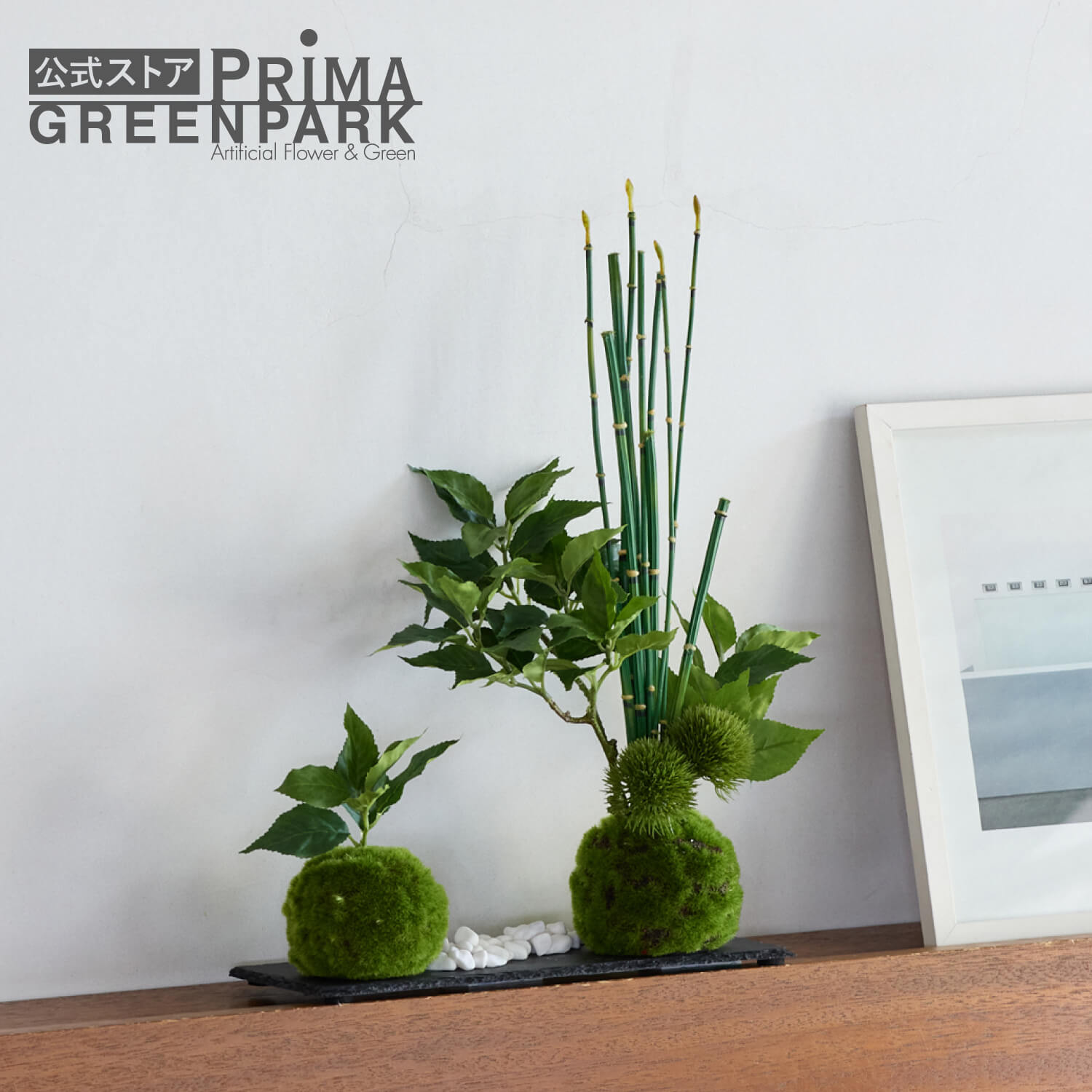 楽天市場】【ポイントUP】【公式】サンキライ 寄せ植え苔玉 黒岩皿