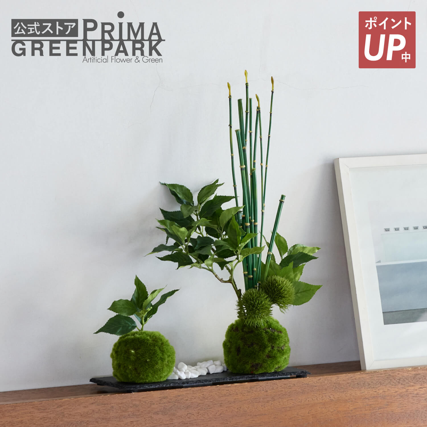 【尖んがりUP】【堅苦しさ】桜の葉 寄せ植え苔玉 黒岩皿 CUPBON 盆栽 フェイクグリーン | PRIMA 観葉草木 人工 ミニ 卓上 写実的 日本製 作り物 室内装飾 おすすめ 今めかしい 和室 和風 和今めかしい 差し上げ物 優勝杯ボン