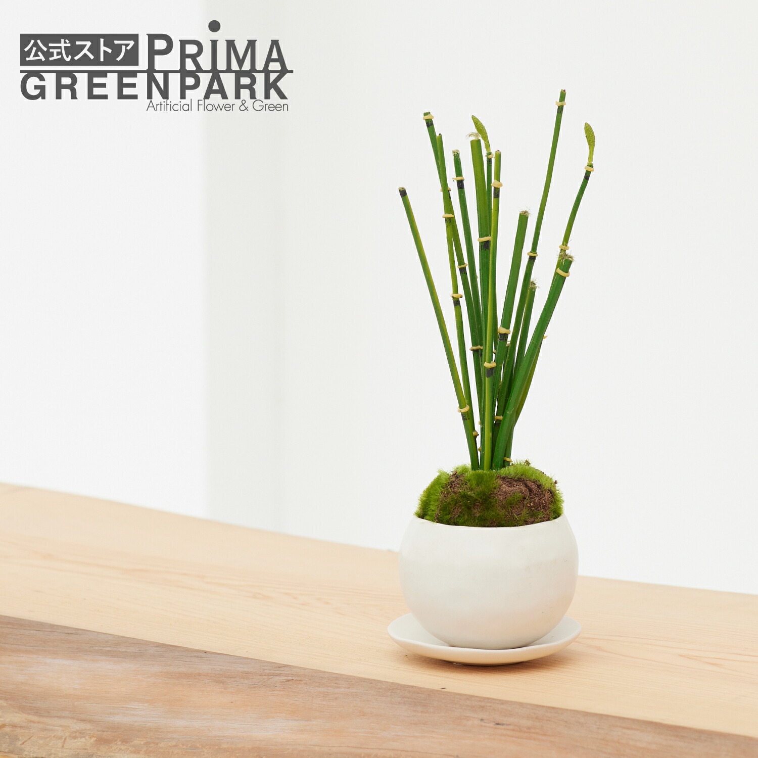 楽天市場】【公式】マリモ 皿付小鉢 白 CUPBON 盆栽 フェイクグリーン