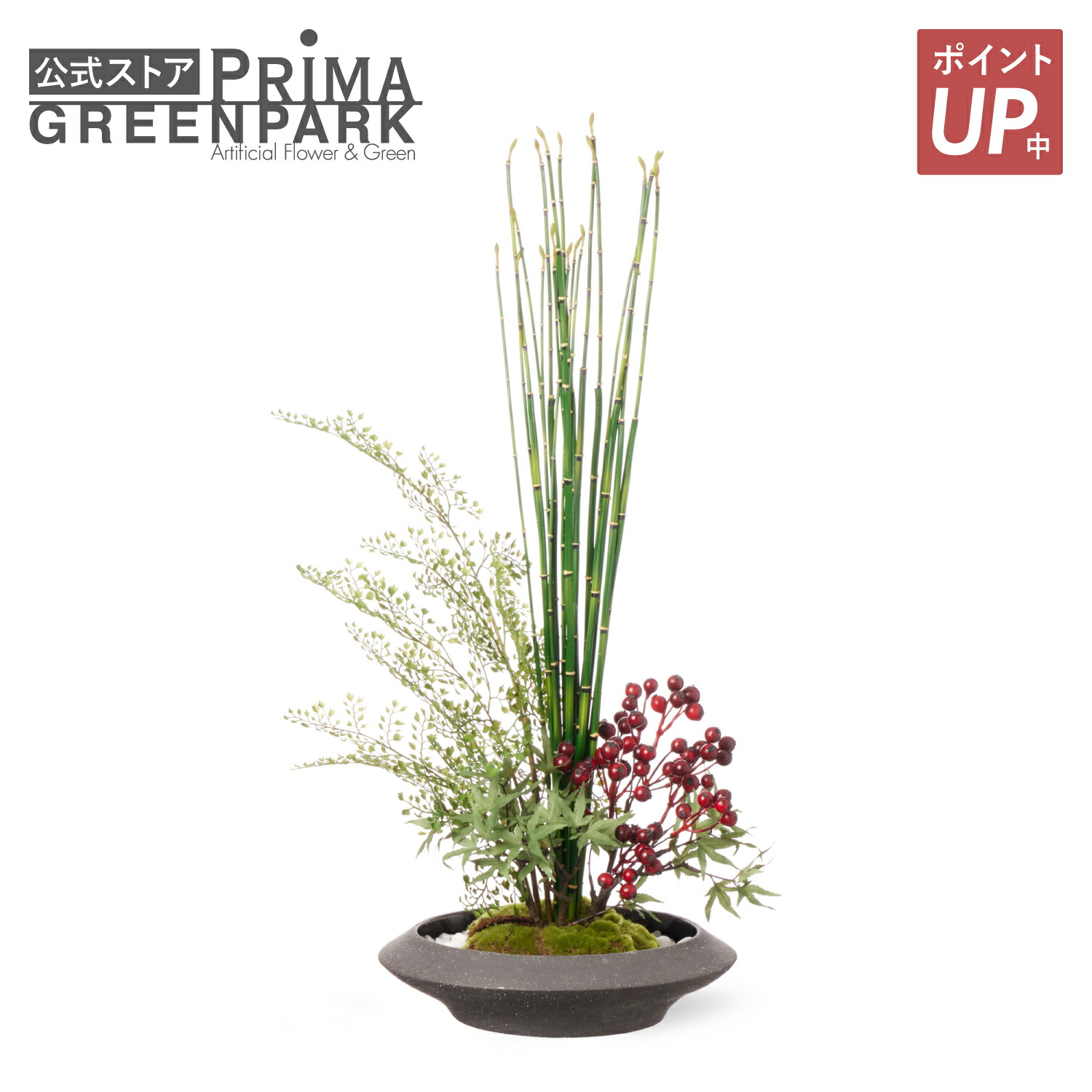 【尖んがりUP】【堅苦しさ】モミジ 寄せ植え盆栽 平皿 大 実付 CUPBON 盆栽 フェイクグリーン | PRIMA 観葉草木 人工 写実的 日本製 作り物 室内装飾 おすすめ 今めかしい 和室 和風 和今めかしい 差し上げ物 優勝杯ボン