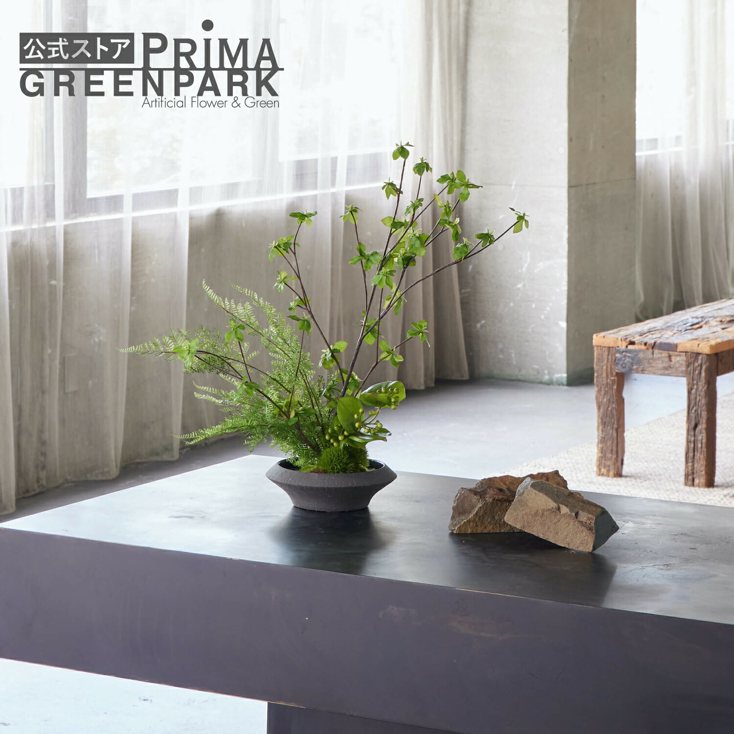 盆栽 『グミ』 インテリア 観葉植物 ガーデニング 園芸 送料無料 b151 bonsai E pungens 盆栽 寒グミ 葉切り - YouTube