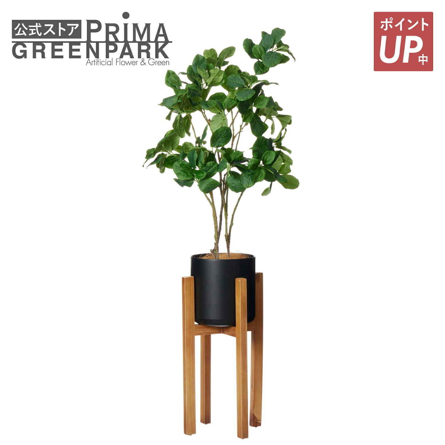 【尖んがりUP】【堅苦しさ】マグノリア 白木照明ランプ H100珊 観葉草木 フェイクグリーン  | GREENPARK 人工観葉草木 造花 今めかしい 写実的 作り物 室内装飾緑であること 工芸緑であること 差し上げ物 差し上げ物 祝賀会