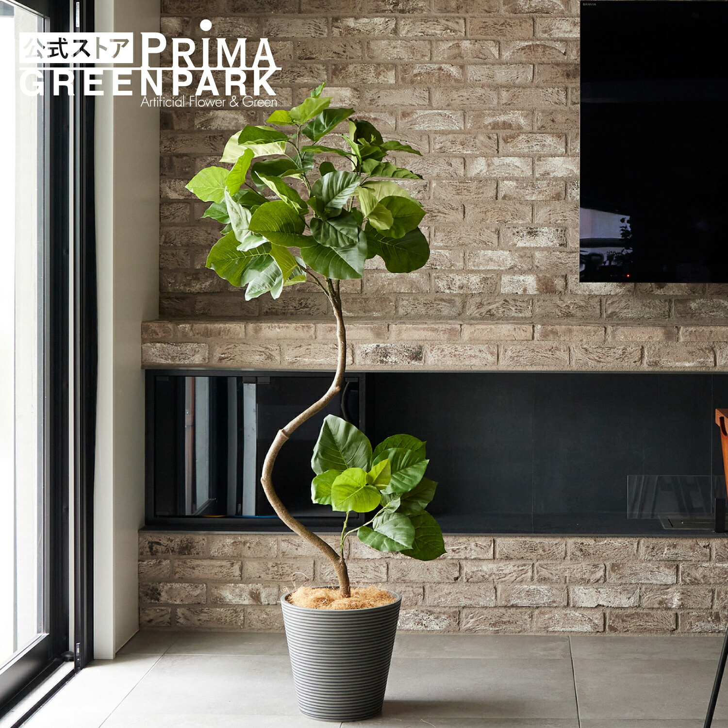 【公式】ツイストウンベラータ GWプランター H164cm 観葉植物 フェイクグリーン eco 【別倉庫直送品】 | GREENPARK 人工観葉植物 造花 おしゃれ リアル イミテーション インテリアグリーン アートグリーン ギフト プレゼント お祝い