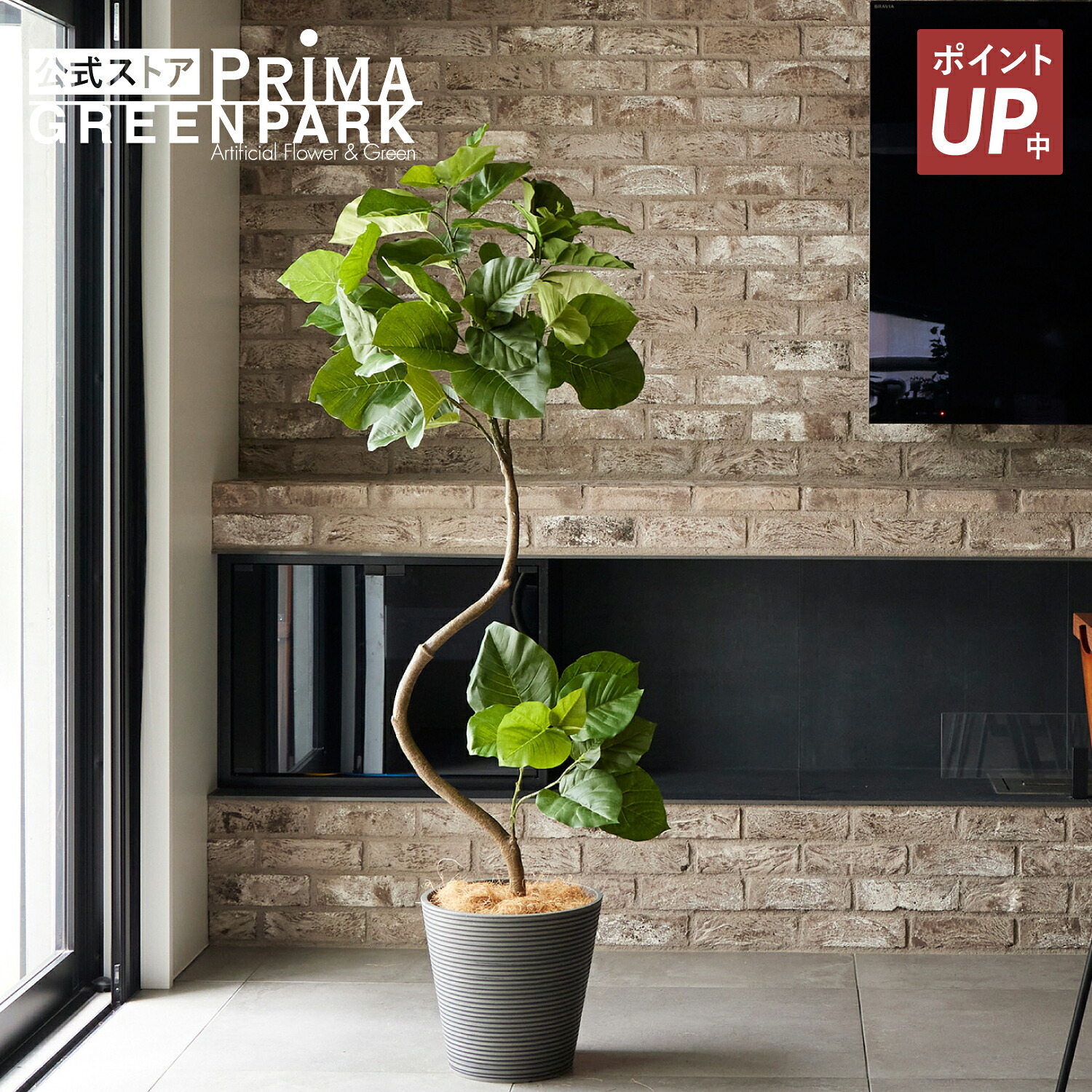 【ポイントUP】【公式】ツイストウンベラータ GWプランター H165cm 観葉植物 フェイクグリーン eco 【別倉庫直送品】 | GREENPARK 人工観葉植物 造花 おしゃれ リアル イミテーション インテリアグリーン アートグリーン ギフト プレゼント お祝い|PRIMA-GREENPARK