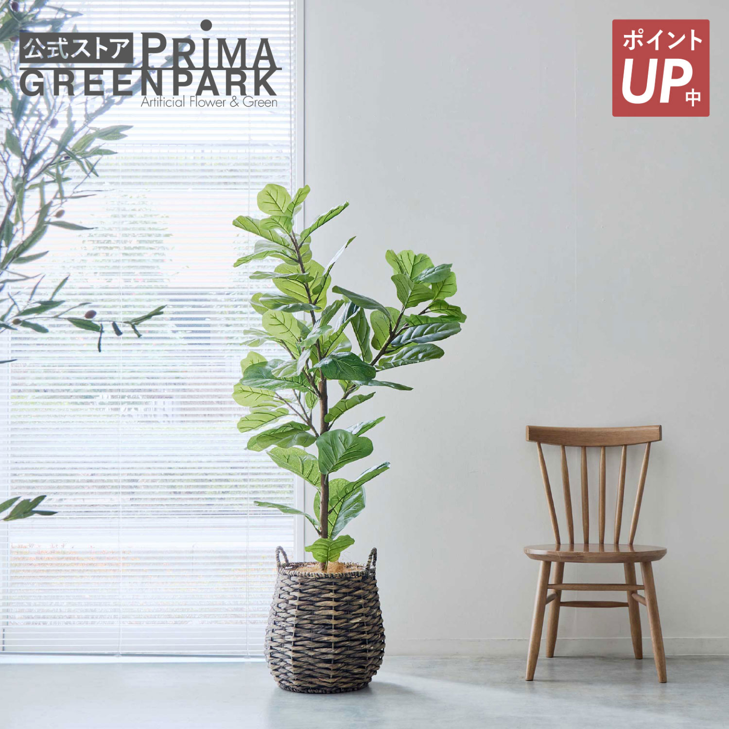 【ポイントUP】【公式】カシワバゴムノキ レムリアポット H150cm 観葉植物 フェイクグリーン 【別倉庫直送品】 | GREENPARK 人工観葉植物 造花 おしゃれ リアル イミテーション インテリアグリーン アートグリーン ギフト プレゼント お祝い｜PRIMA-GREENPARK 37,895円