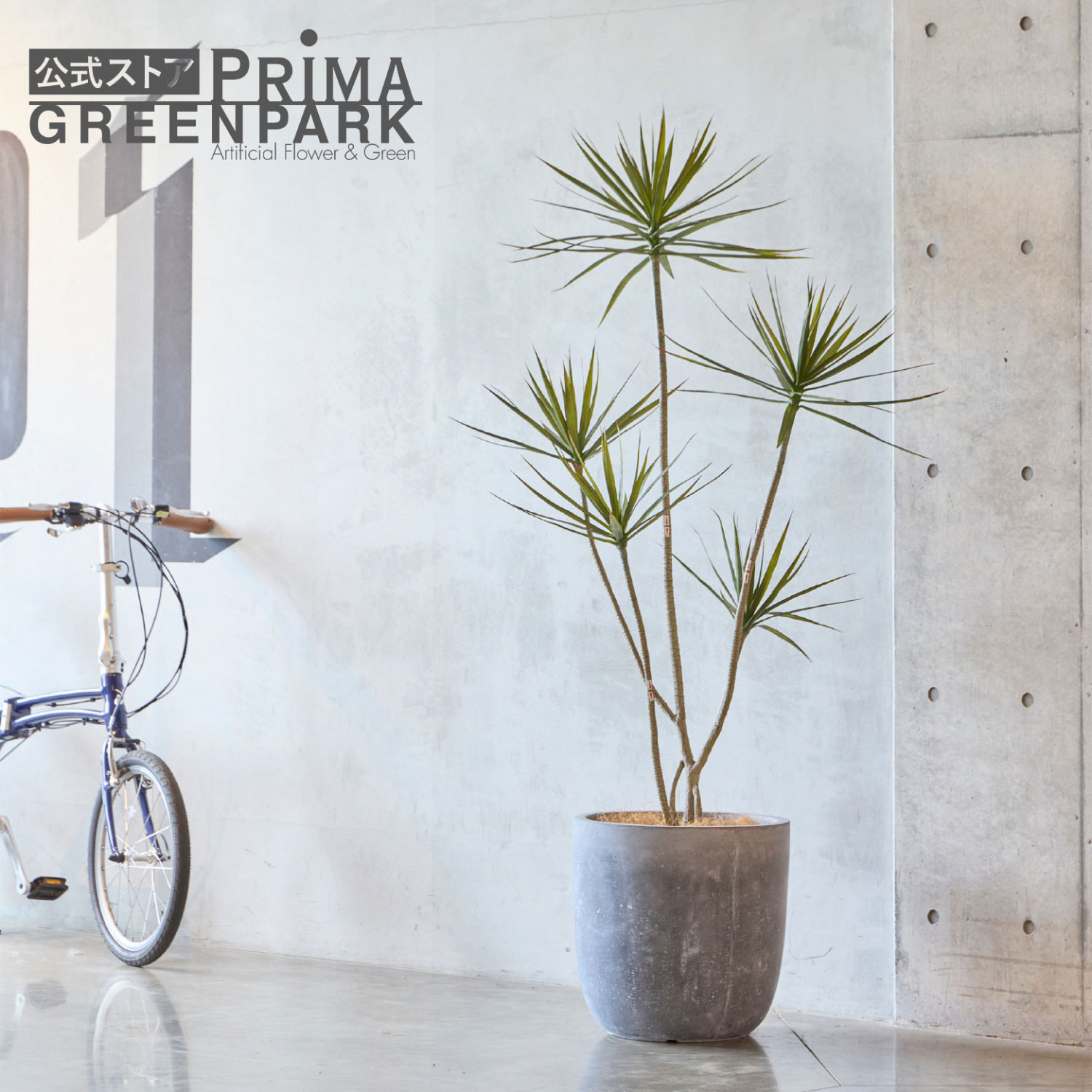 【公式】ドラセナ ラウンド H180cm 【別倉庫直送品】 | GREENPARK 人工観葉植物 造花 おしゃれ リアル イミテーション インテリアグリーン アートグリーン｜PRIMA-GREENPARK