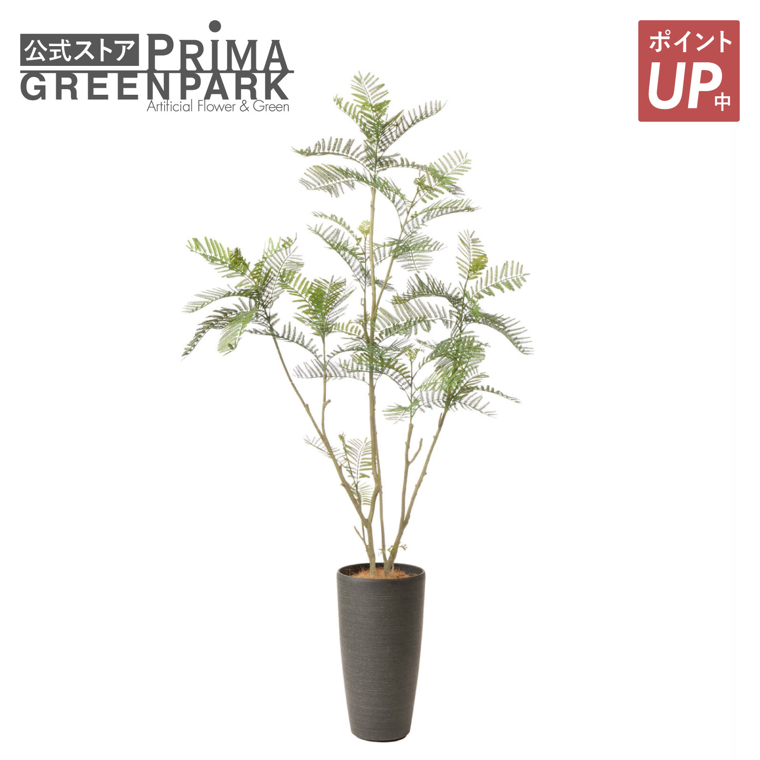 【ポイントUP】【公式】エバーフレッシュ TPプランター H185cm 【別倉庫直送品】 | GREENPARK 人工観葉植物 造花 おしゃれ リアル イミテーション インテリアグリーン アートグリーン｜PRIMA-GREENPARK