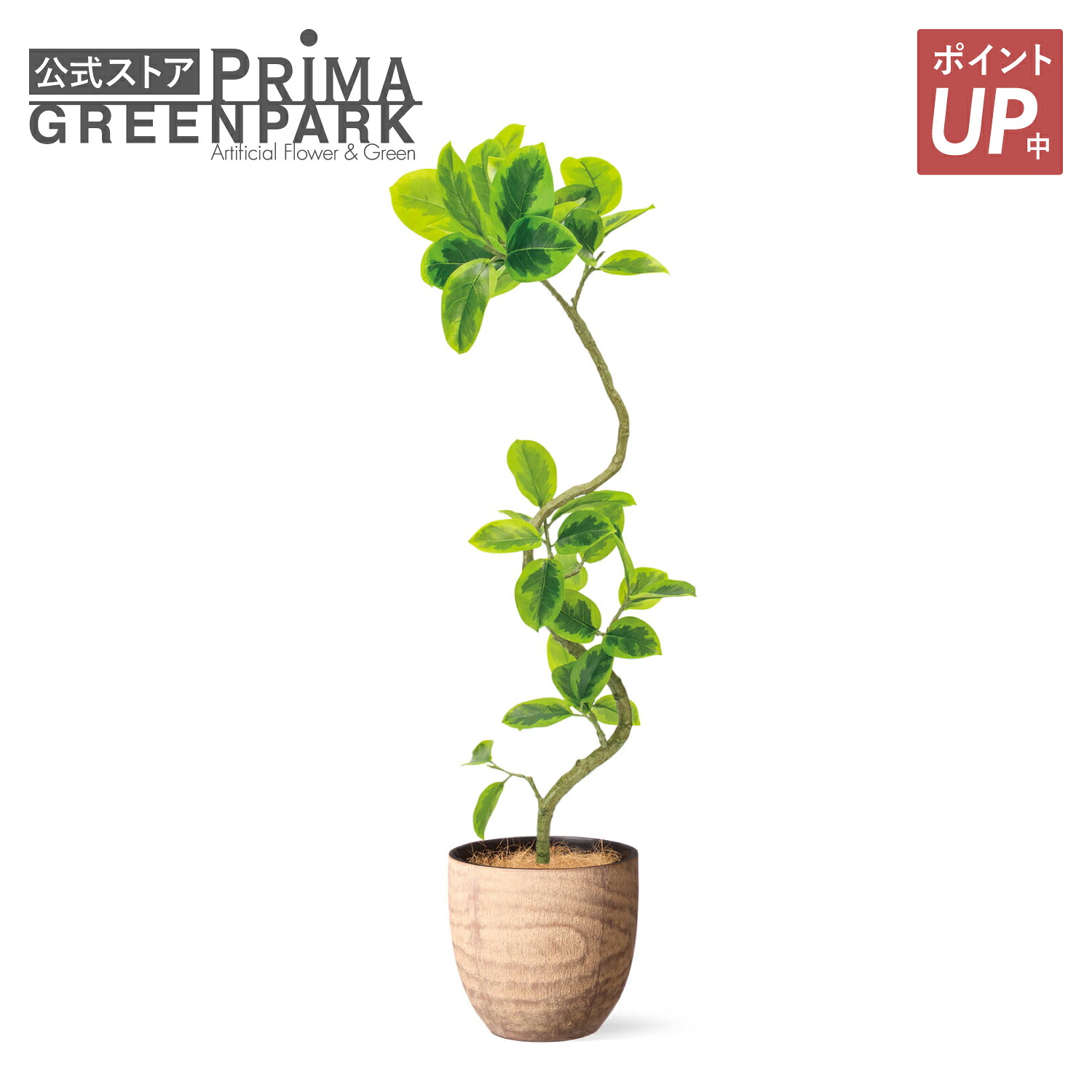 【ポイントUP】【公式】フィカスアルテシマ 斑入り ウッドポット H138cm 観葉植物 フェイクグリーン eco 【別倉庫直送品】 | GREENPARK 人工観葉植物 造花 おしゃれ リアル イミテーション インテリアグリーン アートグリーン ギフト プレゼント お祝い｜PRIMA-GREENPARK 38,610円