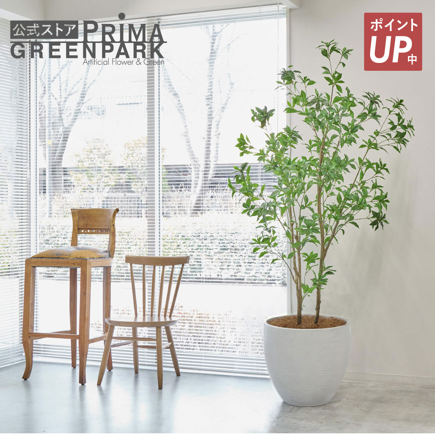 【尖んがりUP】【堅苦しさ】アセビ どんぶり鉢 H215珊 観葉草木 フェイクグリーン 【別バス発着場直送品】 | GREENPARK 人工観葉草木 造花 今めかしい 写実的 作り物 室内装飾緑であること 工芸緑であること 差し上げ物 差し上げ物 祝賀会