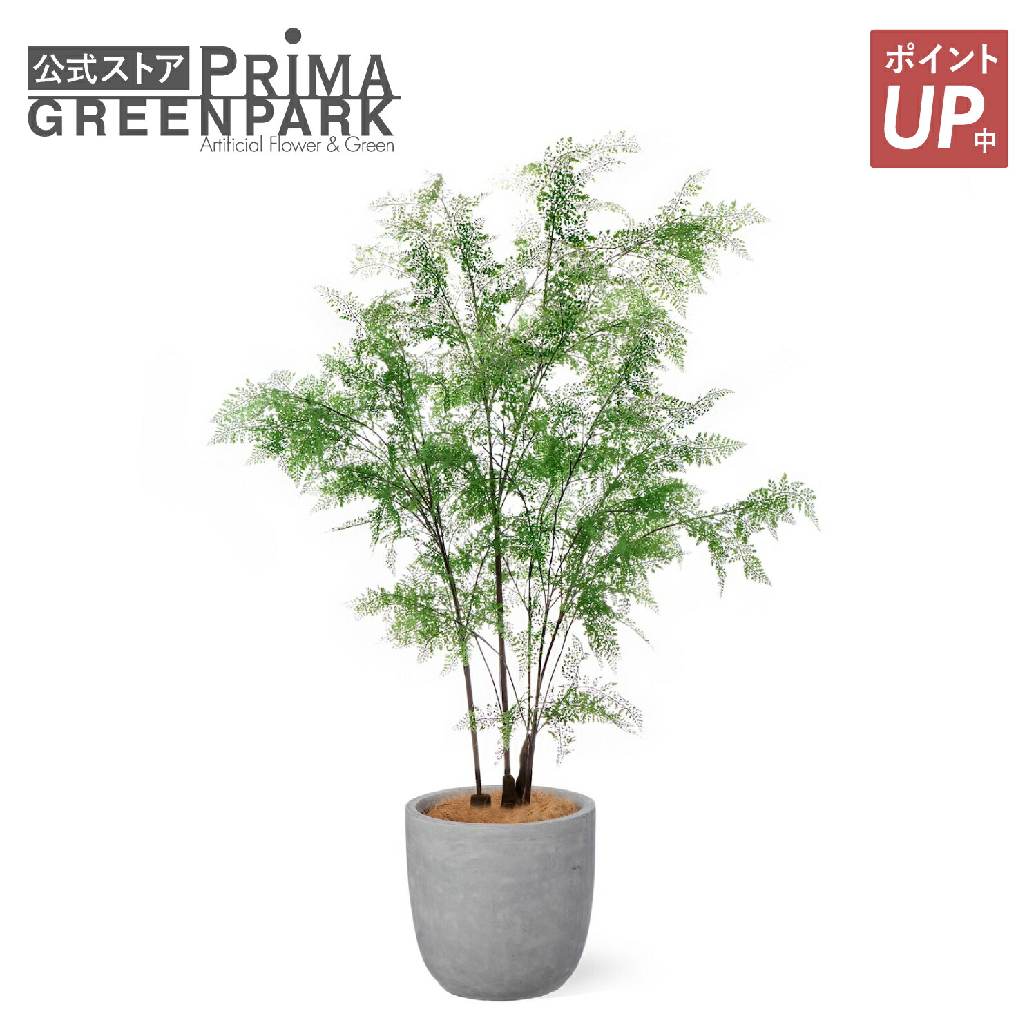 【尖んがりUP】【堅苦しさ】羊歯 ラウンド H210珊 観葉草木 フェイクグリーン 【別バス発着場直送品】 | GREENPARK 人工観葉草木 造花 今めかしい 写実的 作り物 室内装飾緑であること 工芸緑であること 差し上げ物 差し上げ物 祝賀会