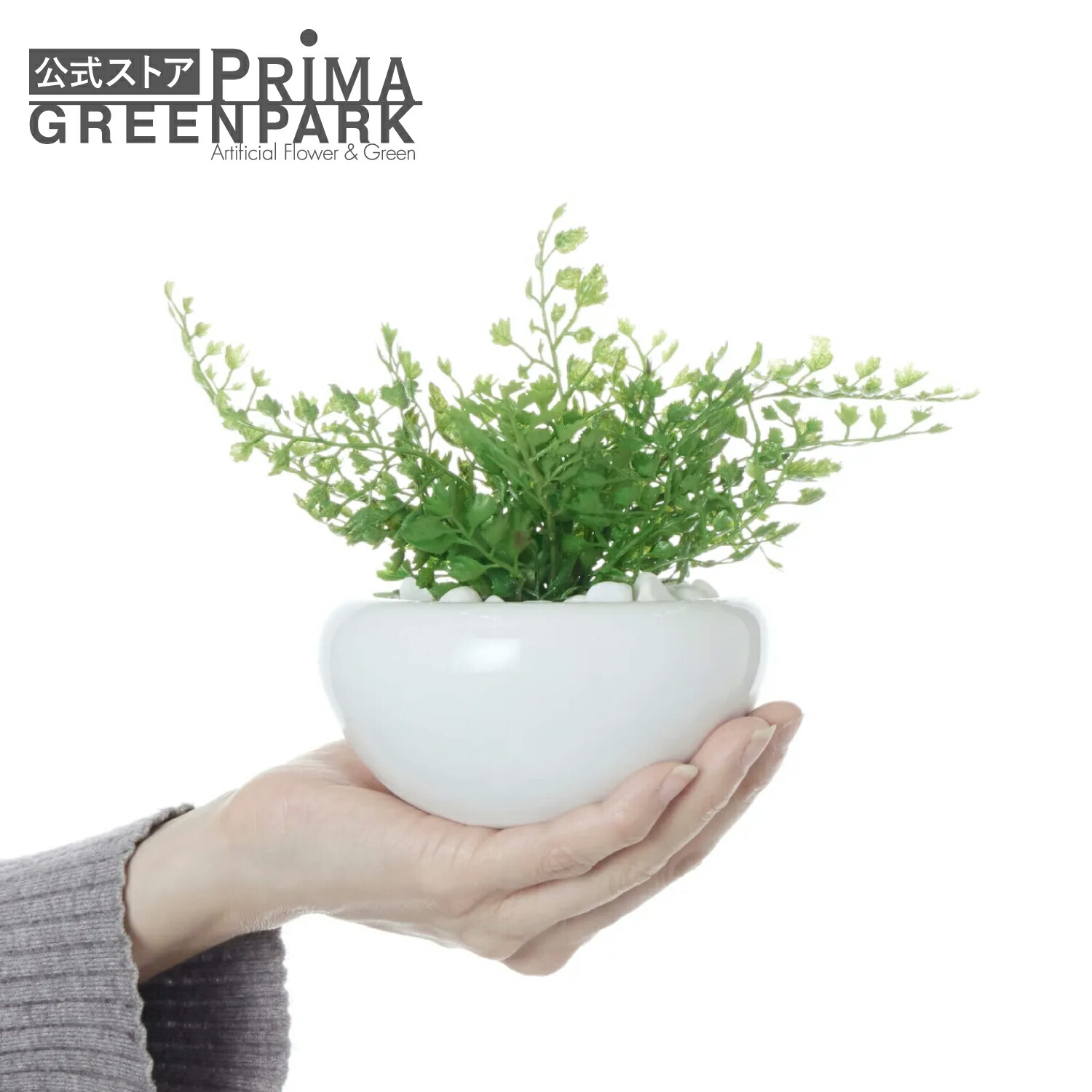 楽天市場】【公式】多肉植物ミックスD 白陶器S 観葉植物 フェイク