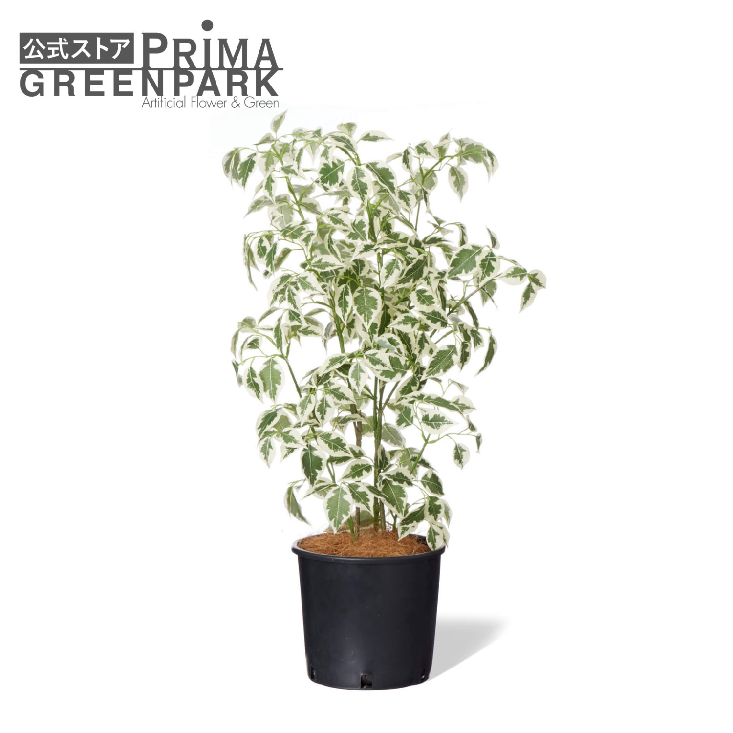 【公式】ベンジャミン インナーポット 観葉植物 フェイクグリーン | GREENPARK 人工観葉植物 造花 おしゃれ リアル イミテーション インテリアグリーン アートグリーン｜PRIMA-GREENPARK
