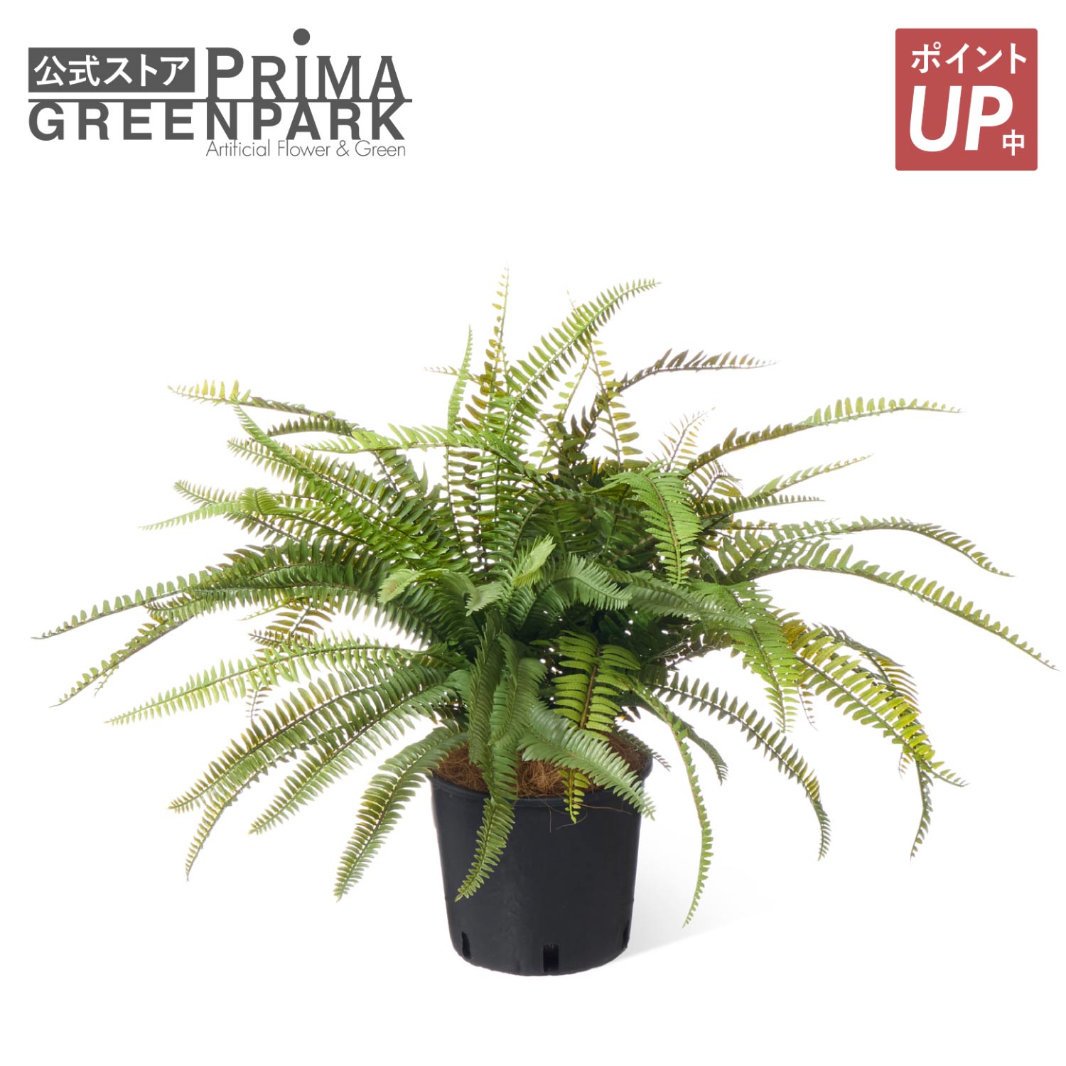 【ポイントUP】【公式】シダ インナーポット 観葉植物 フェイクグリーン | GREENPARK 人工観葉植物 造花 おしゃれ リアル イミテーション インテリアグリーン アートグリーン｜PRIMA-GREENPARK