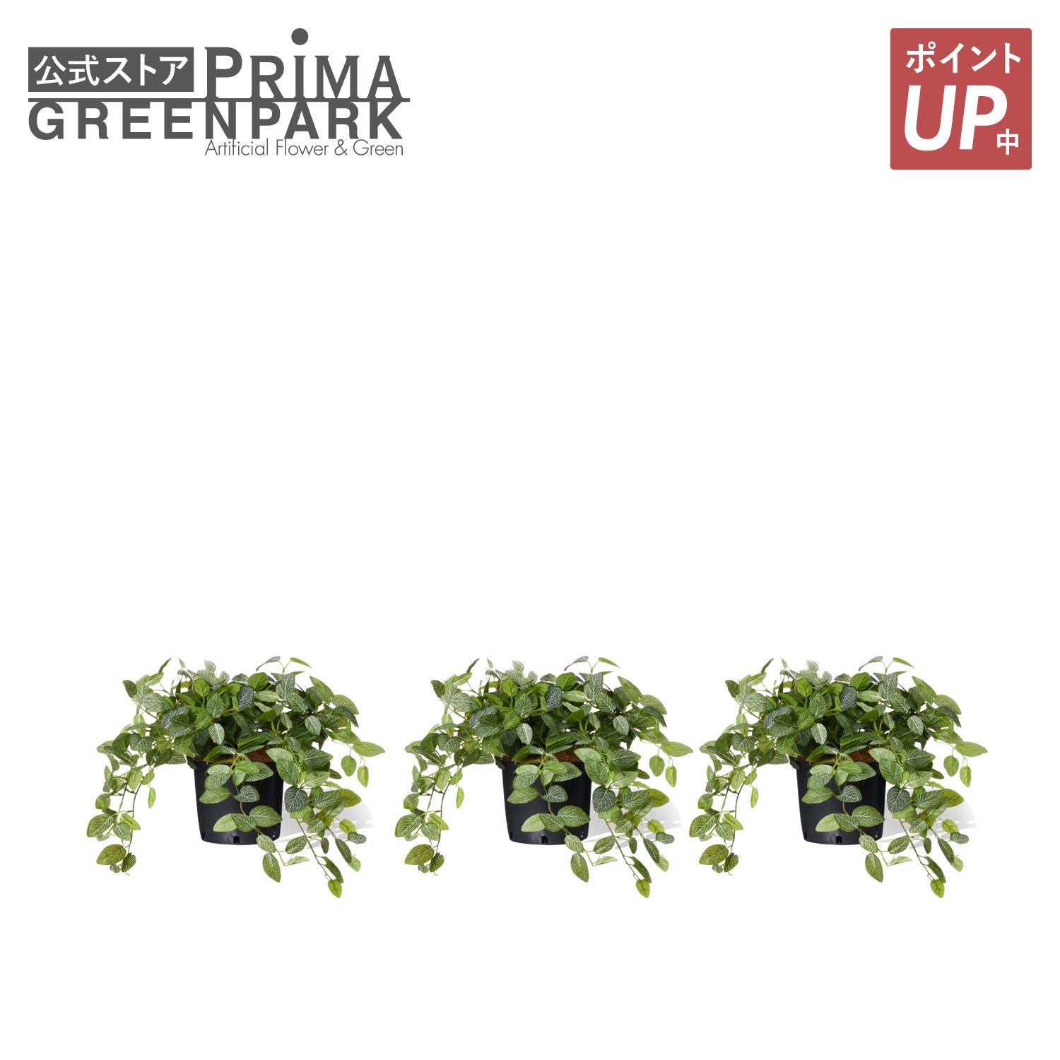 【ポイントUP】【公式】フィットニア インナーポット 3個セット 観葉植物 フェイクグリーン | GREENPARK 人工観葉植物 造花 おしゃれ リアル イミテーション インテリアグリーン アートグリーン