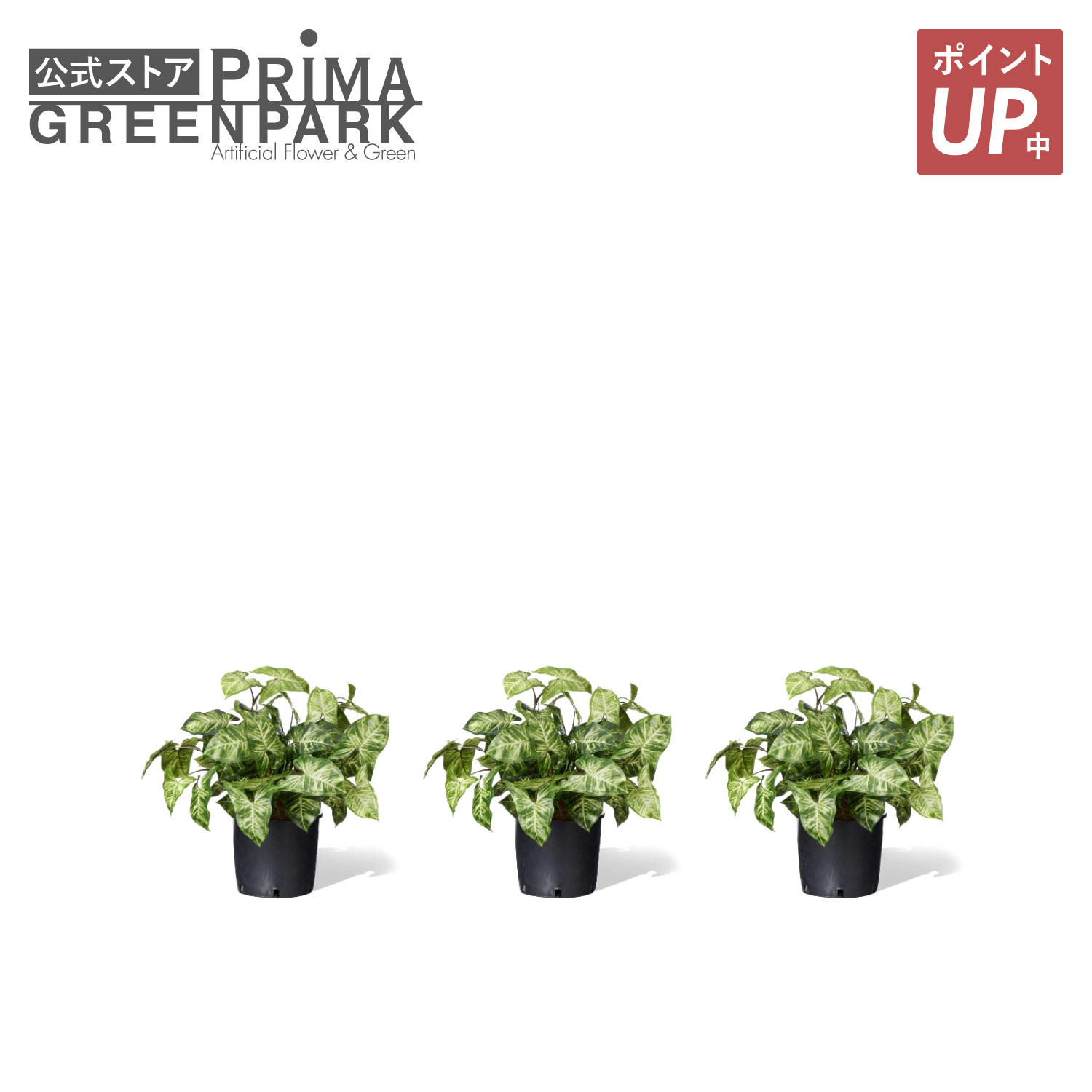 【ポイントUP】【公式】カラジウム インナーポット 3個セット 観葉植物 フェイクグリーン | GREENPARK 人工観葉植物 造花 おしゃれ リアル イミテーション インテリアグリーン アートグリーン