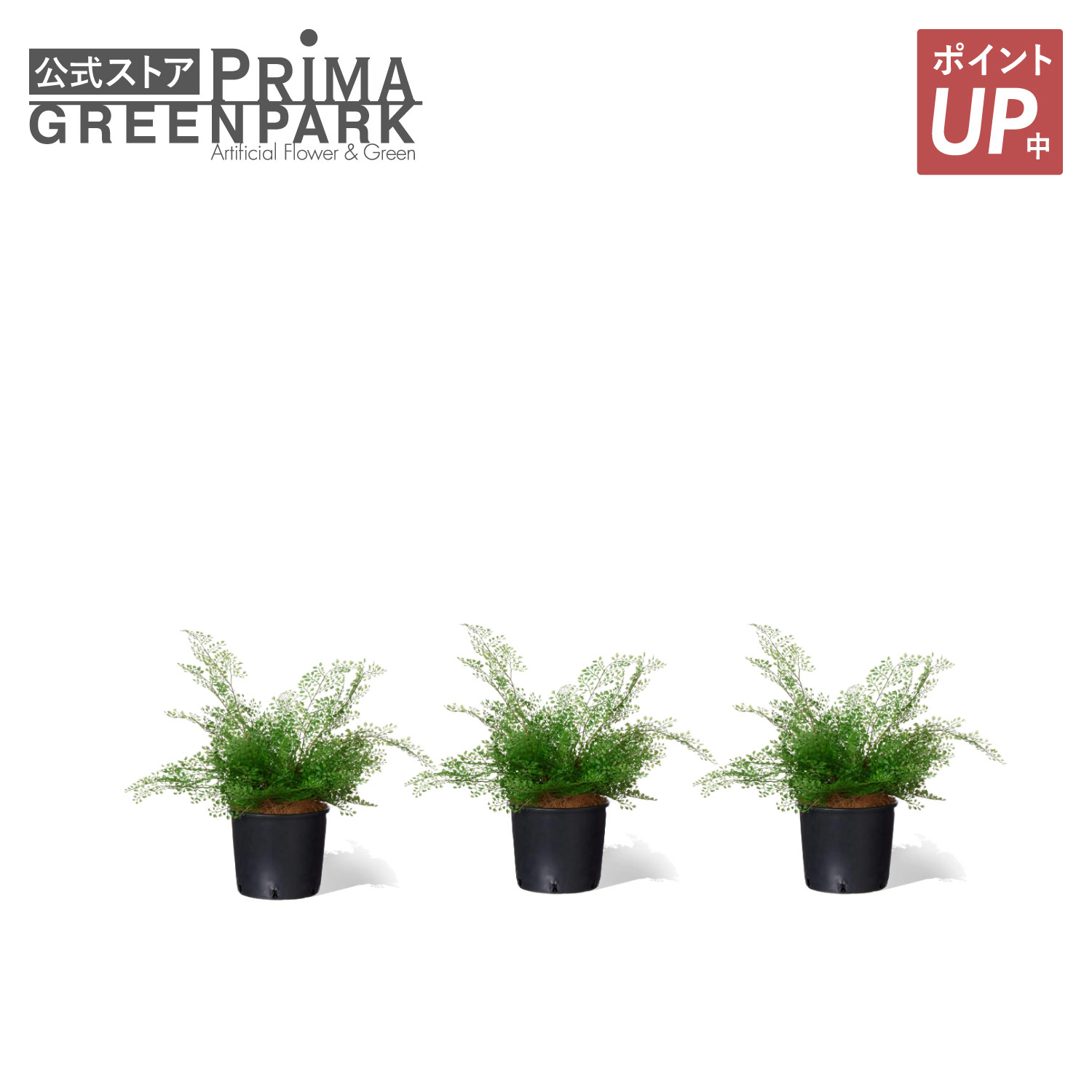 【ポイントUP】【公式】アジアンタム インナーポット 3個セット 観葉植物 フェイクグリーン | GREENPARK 人工観葉植物 造花 おしゃれ リアル イミテーション インテリアグリーン アートグリーン｜PRIMA-GREENPARK