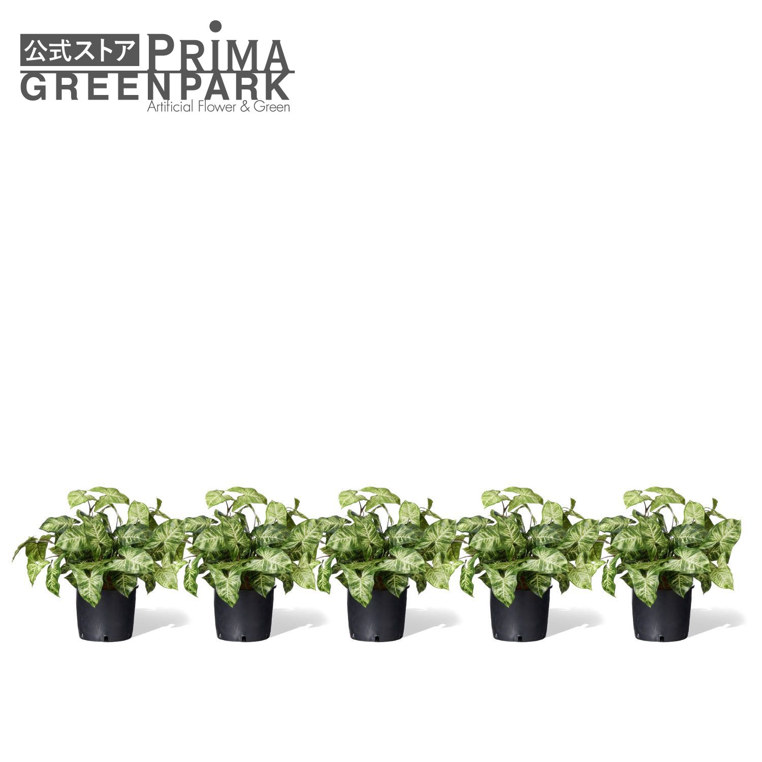 【公式】カラジウム インナーポット 5個セット 観葉植物 フェイクグリーン | GREENPARK 人工観葉植物 造花 おしゃれ リアル イミテーション インテリアグリーン アートグリーン