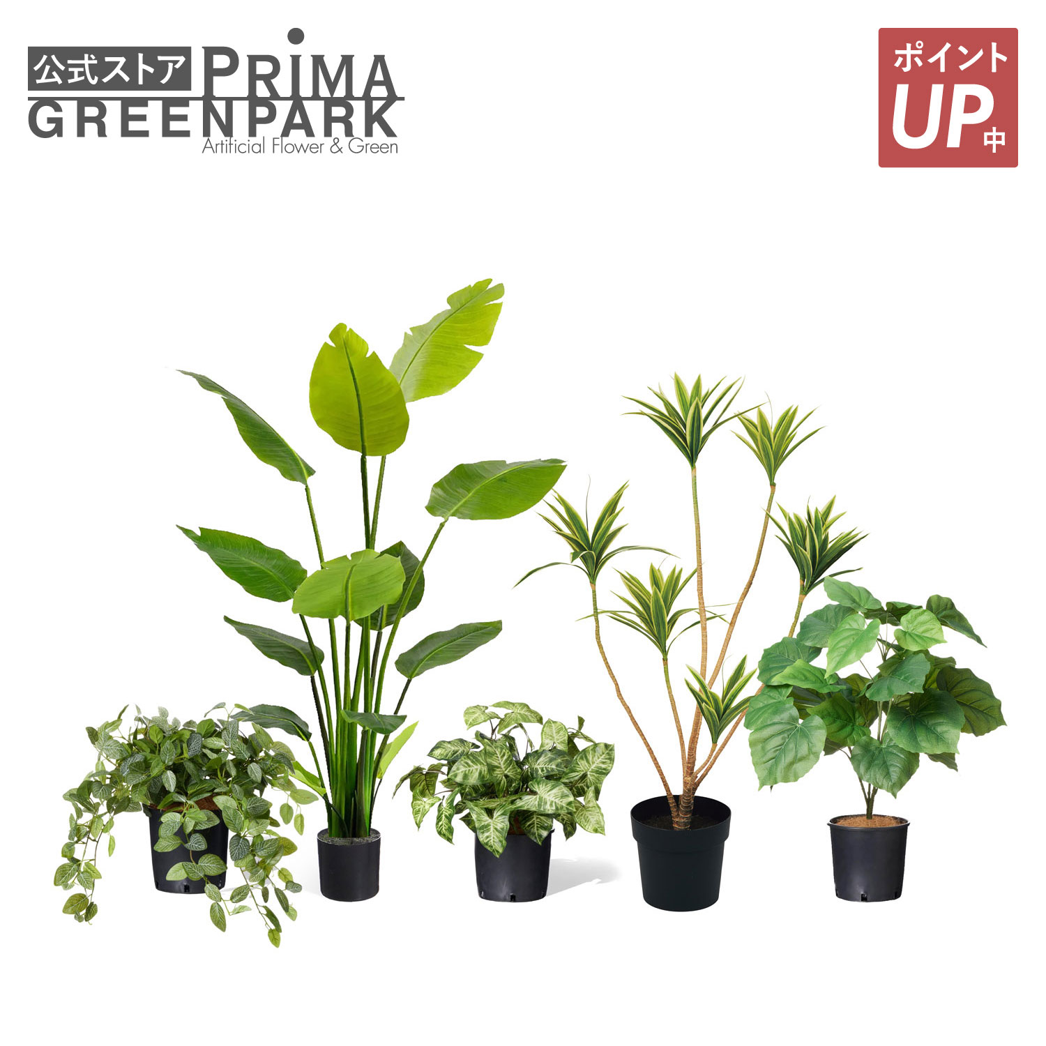 【ポイントUP】【公式】ミックスK インナーポット 5個セット 6号 観葉植物 フェイクグリーン【別倉庫直送品】 | GREENPARK 人工観葉植物 造花 おしゃれ リアル イミテーション インテリアグリーン アートグリーン