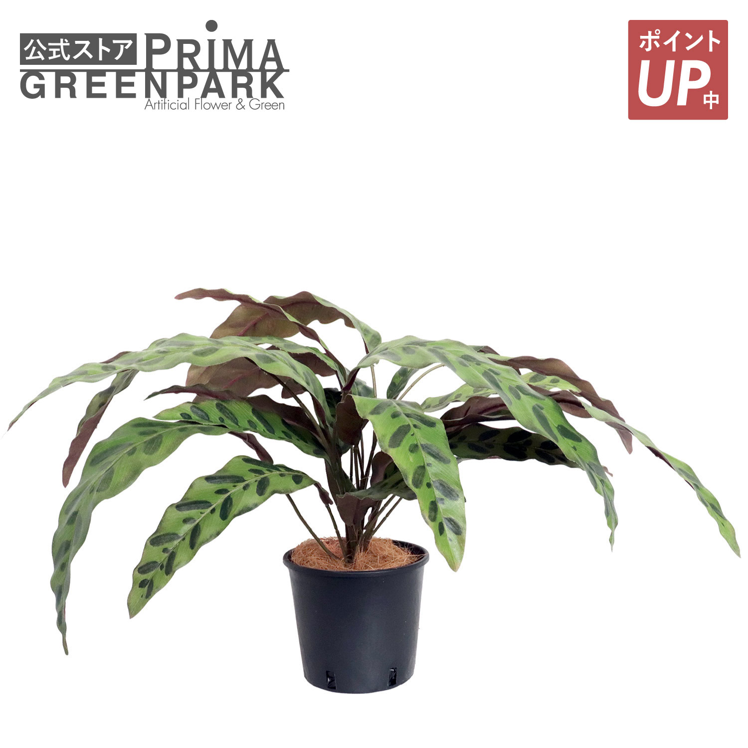 【ポイントUP】【公式】インシグニス インナーポット 観葉植物 フェイクグリーン | GREENPARK 人工観葉植物 造花 おしゃれ リアル イミテーション インテリアグリーン アートグリーン|PRIMA-GREENPARK