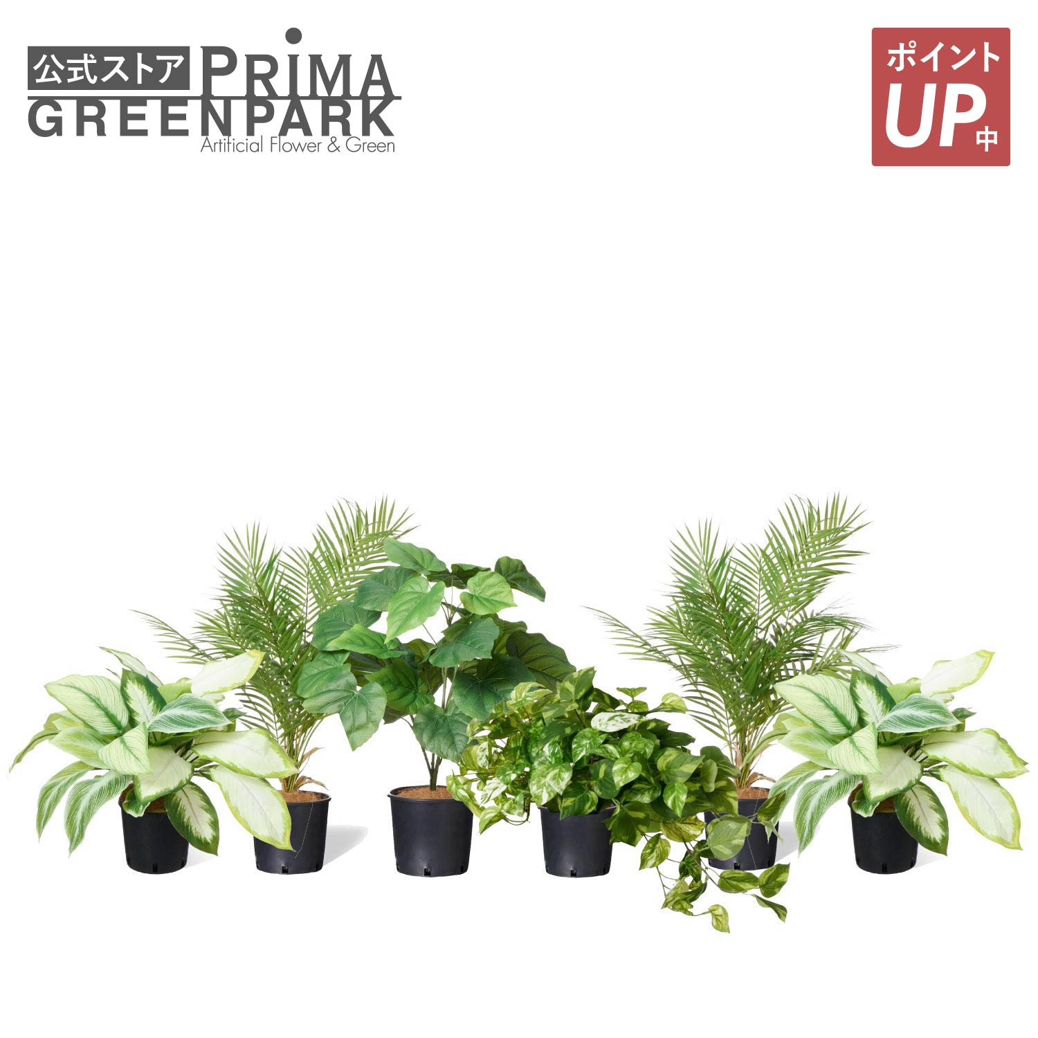 【尖んがりUP】【堅苦しさ】交ぜ合わせるL 下穿きポット 6個仕かける 観葉草木 フェイクグリーン | GREENPARK  人工観葉草木 造花 格好のいい 実際的 作り物 室内装飾緑であること 工芸緑であること 造花・人工観葉植物-人工観葉植物