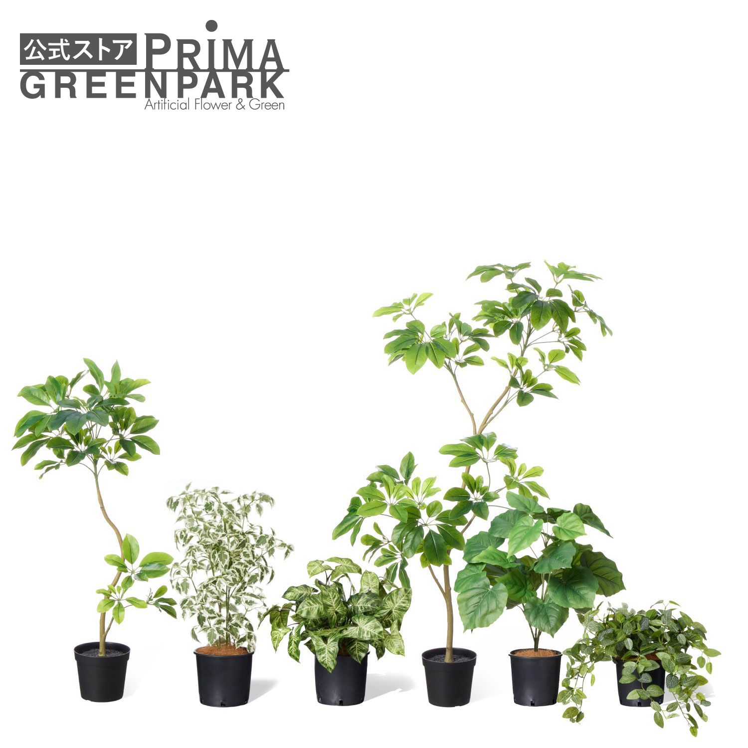 【公式】ミックスO インナーポット 6個セット 観葉植物 フェイクグリーン 【別倉庫直送品】 | GREENPARK 人工観葉植物 造花 おしゃれ リアル イミテーション インテリアグリーン アートグリーン｜PRIMA-GREENPARK