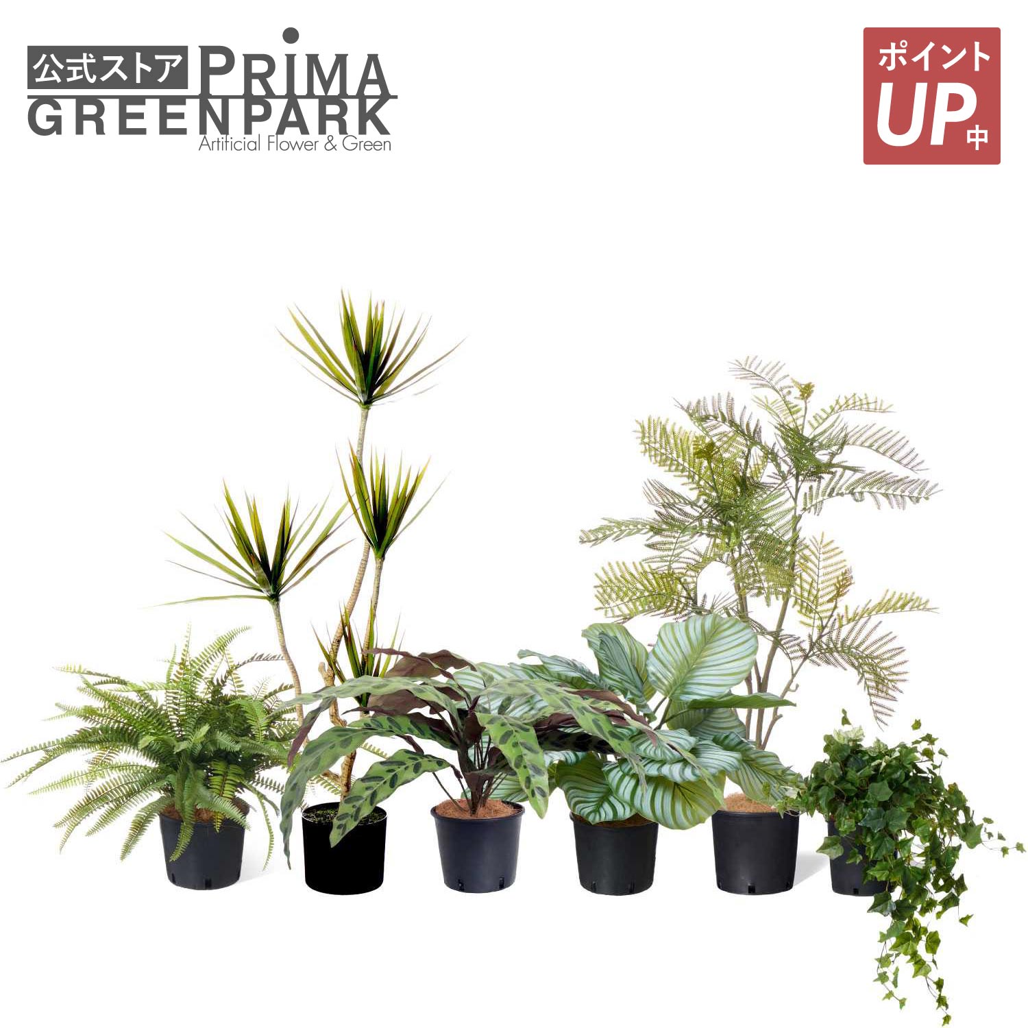 【尖んがりUP】【堅苦しさ】入り合わせるS 肌付きポット 6個仕掛ける 観葉草木 フェイクグリーン 【別バス発着場直送品】 | GREENPARK  人工観葉草木 造花 今めかしい 即物的 作り物 室内装飾緑であること 作物緑であること