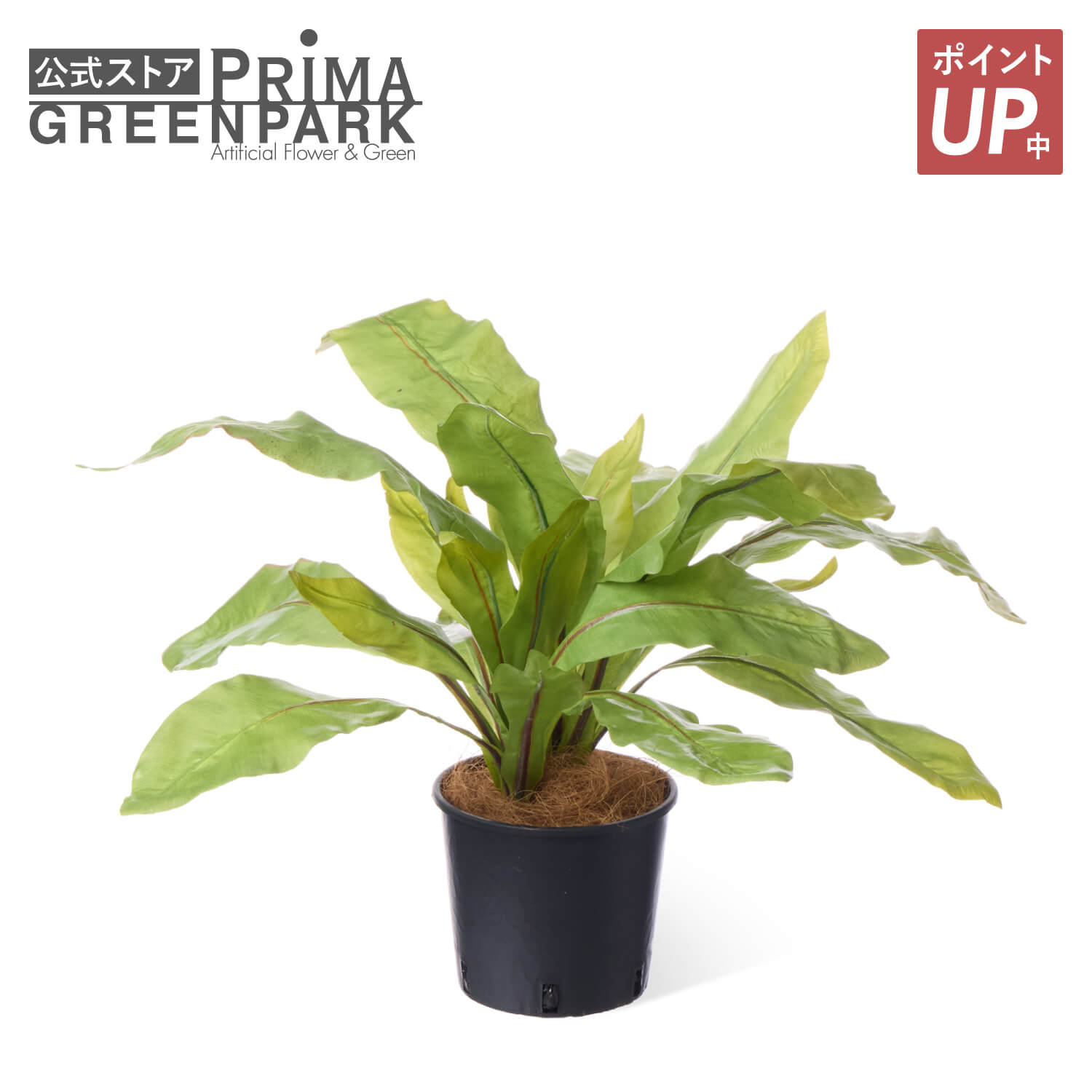 【ポイントUP】【公式】オオタニワタリ インナーポット 観葉植物 フェイクグリーン | GREENPARK 人工観葉植物 造花 おしゃれ リアル イミテーション インテリアグリーン アートグリーン｜PRIMA-GREENPARK