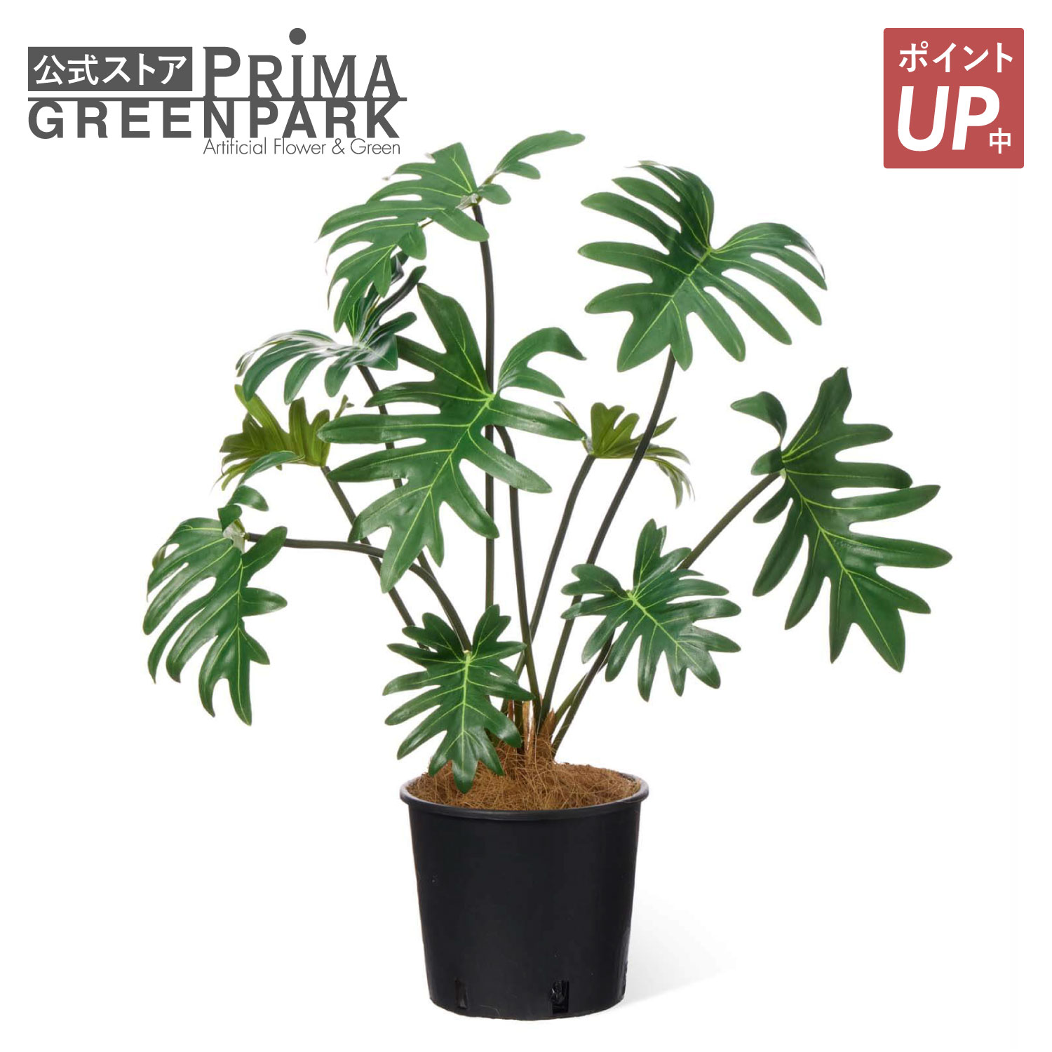 【ポイントUP】【公式】クッカバラ インナーポット 観葉植物 フェイクグリーン | GREENPARK 人工観葉植物 造花 おしゃれ リアル イミテーション インテリアグリーン アートグリーン|PRIMA-GREENPARK