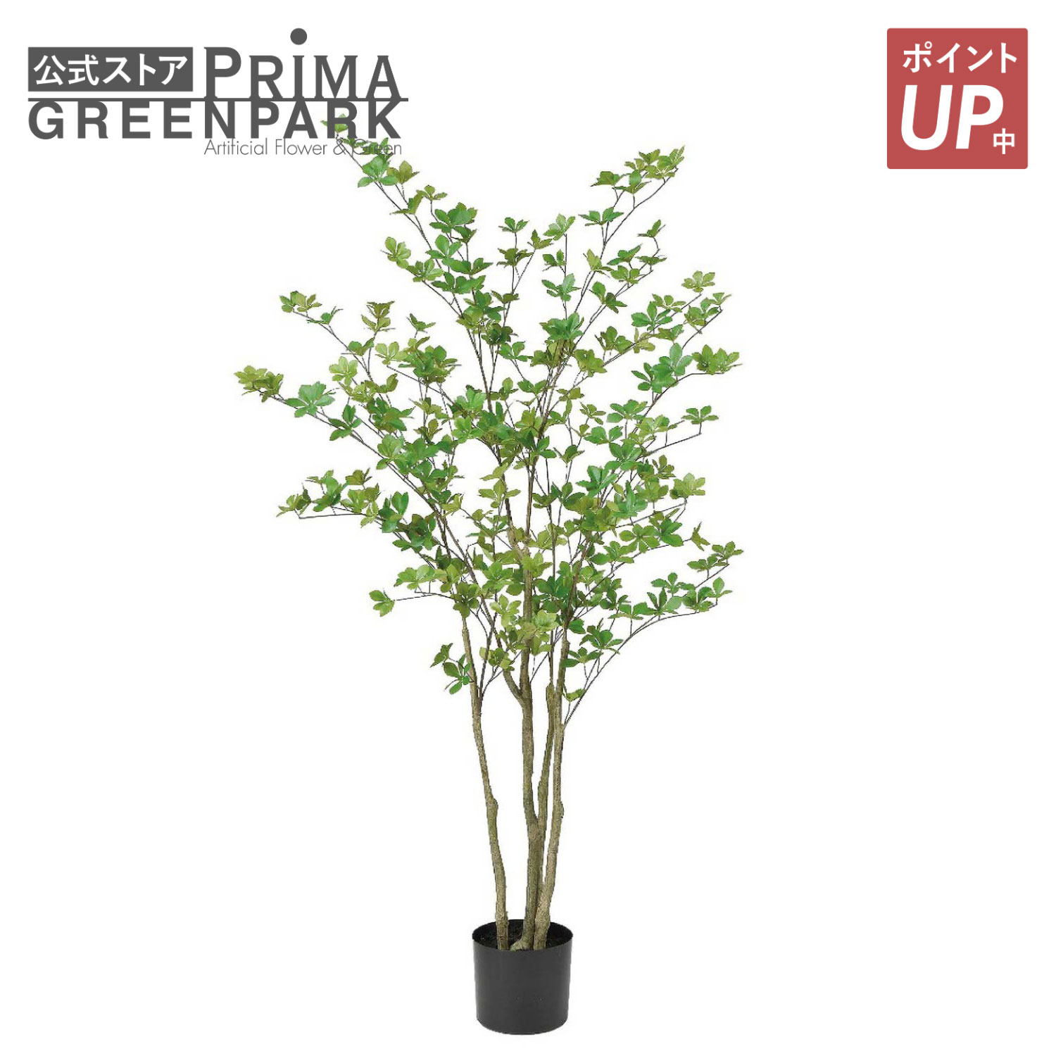 【ポイントUP】【公式】ドウダンツツジ インナーポットH150cm 観葉植物 フェイクグリーン 【別倉庫直送品】 | GREENPARK 人工観葉植物 造花 おしゃれ リアル イミテーション インテリアグリーン アートグリーン｜PRIMA-GREENPARK