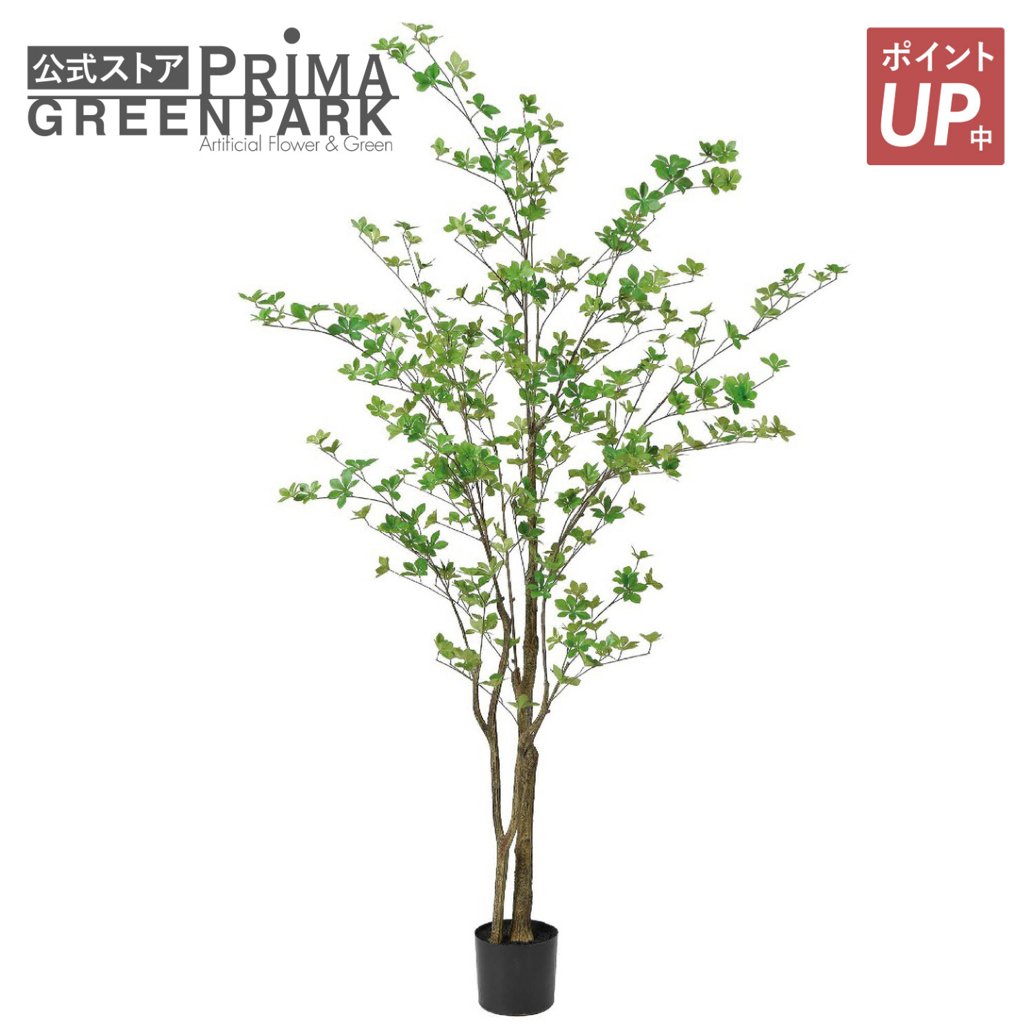 【ポイントUP】【公式】ドウダンツツジ インナーポットH185cm 観葉植物 フェイクグリーン 【別倉庫直送品】 | GREENPARK 人工観葉植物 造花 おしゃれ リアル イミテーション インテリアグリーン アートグリーン｜PRIMA-GREENPARK