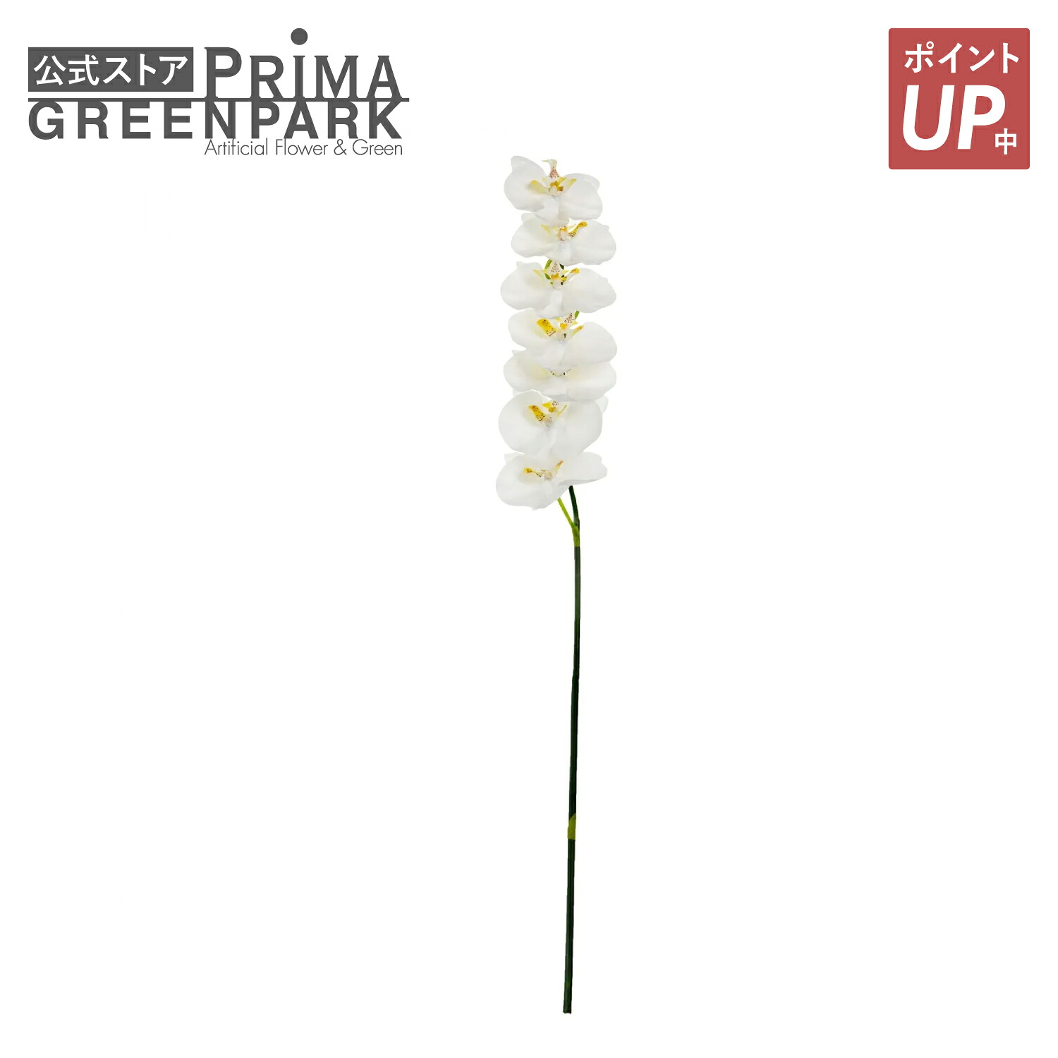 【ポイントUP】【公式】コチョウラン 胡蝶蘭 M 単品花材 造花 アーティフィシャルフラワー | PRIMA 1本売り フラワーアレンジメント アレンジメント インテリア 装飾 ステム 造花リーフ 高級造花 単品