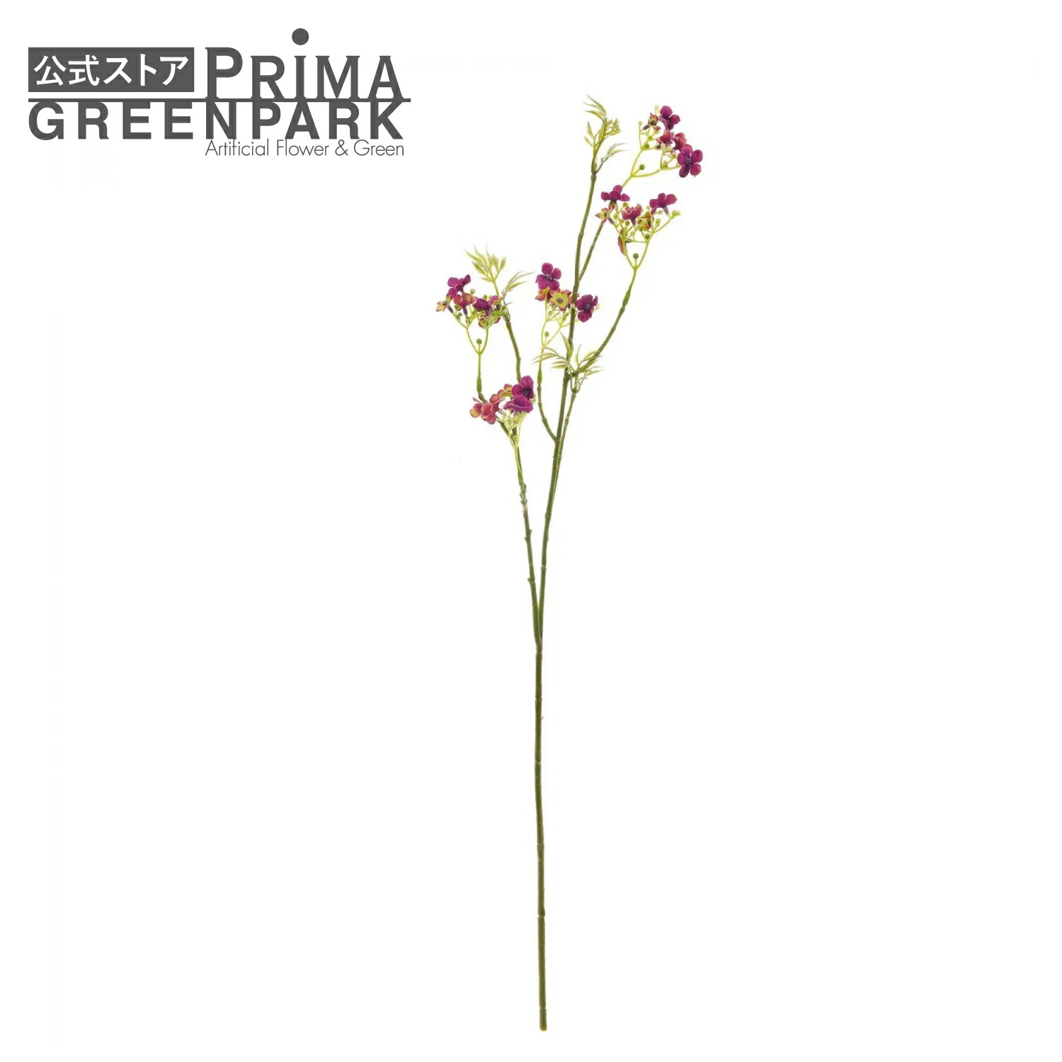 楽天市場】【公式】【50％OFF】ネコヤナギ 枝 単品花材 アーティ