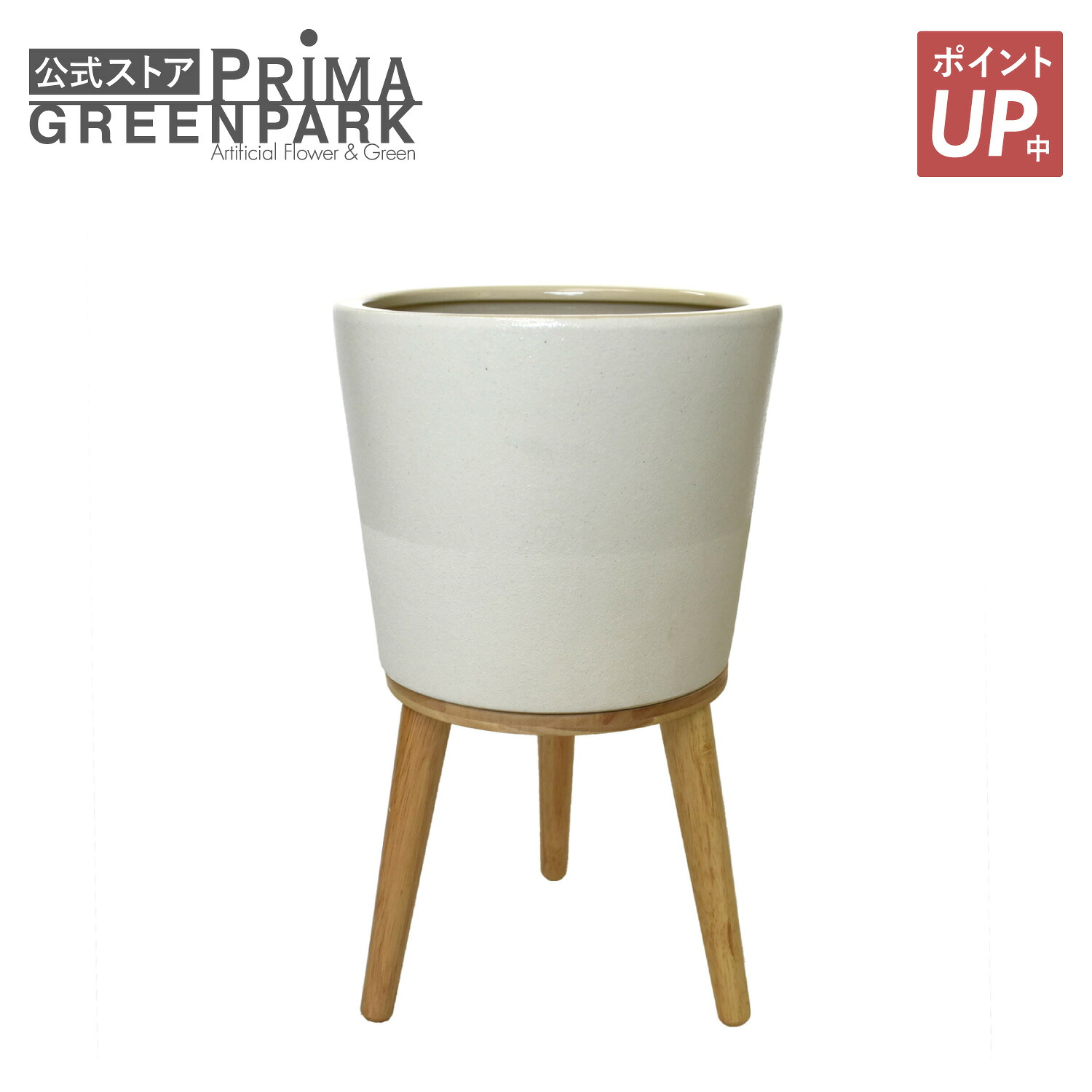 【尖んがりUP】エルナ 6号鉢 H40糎 観葉草木 鉢取りまかなう | PRIMA 今めかしい リビング 分かりやすい 室内装飾 入り口・入口 リビング 昼ご飯 差し上げ物 差し上げ物