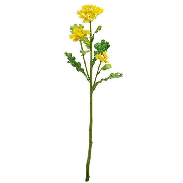 菜の花 楽天市場】菜の花 造花（ナノハナ造花・なのはな） : フラワー