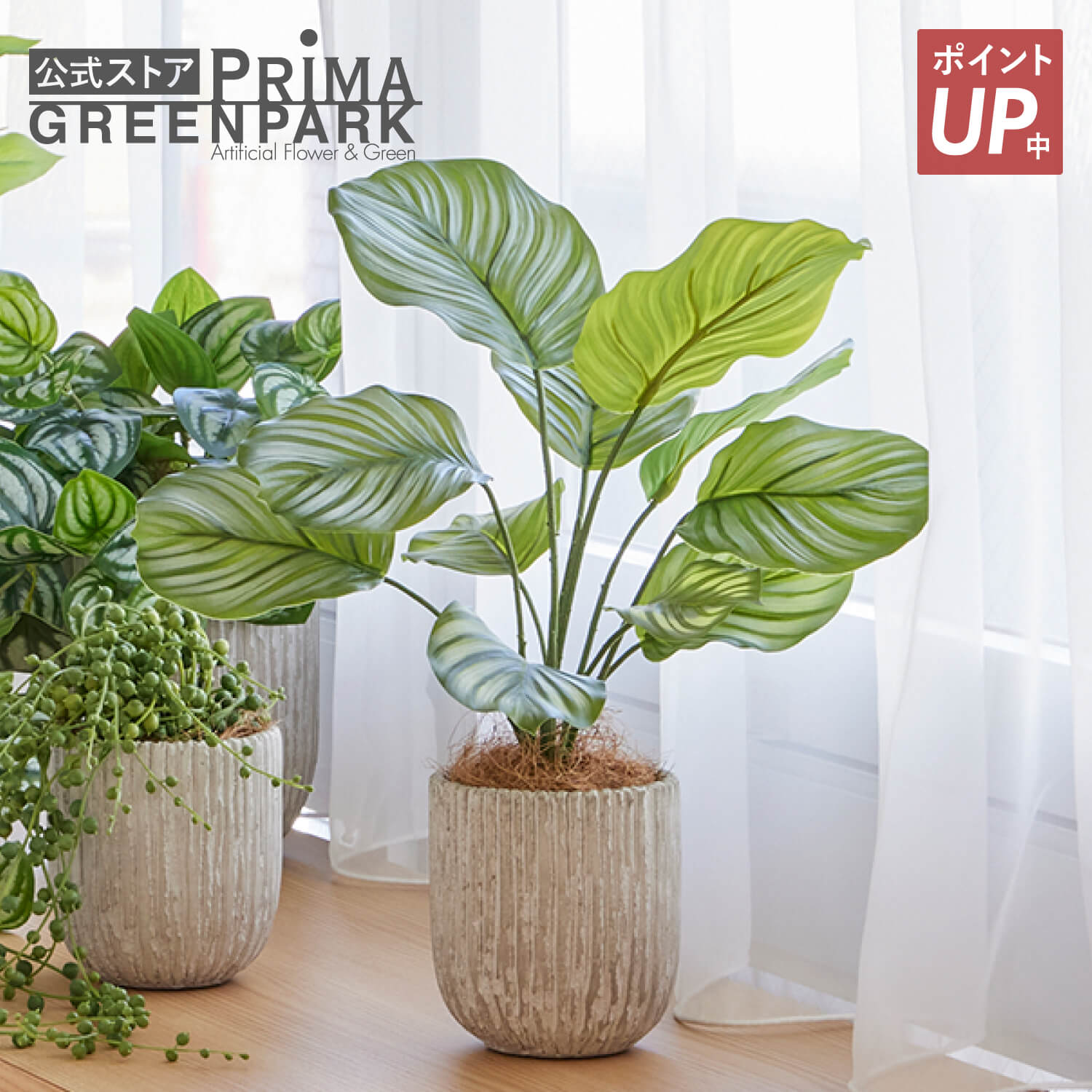 【尖んがりUP】【堅苦しさ】カラテア オベリスポットS 観葉草木 フェイクグリーン eco | GREENPARK 人工観葉草木 造花 今めかしい 写実的 作り物 室内装飾緑であること 工芸緑であること 差し上げ物 差し上げ物 祝賀会