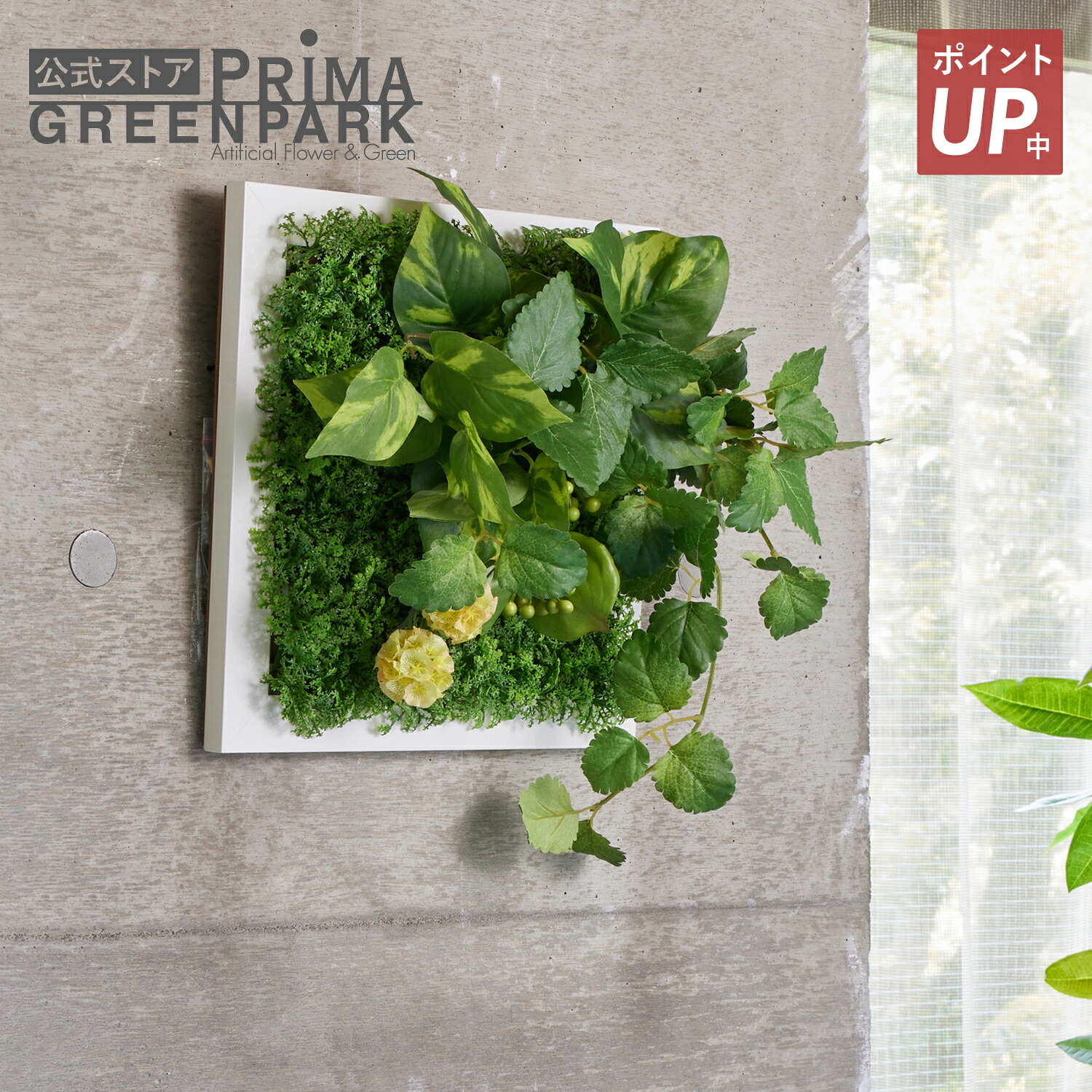 【尖んがりUP】【堅苦しさ】オウゴンカズラ×ペパーミント ひな形 観葉草木 フェイクグリーン | GREENPARK フェイクフラワー 室内装飾 ウォール御花 御花賃貸借契約 スワッグ 差し上げ物 ウォールデコ 壁面 壁 今めかしい 見せびらかす