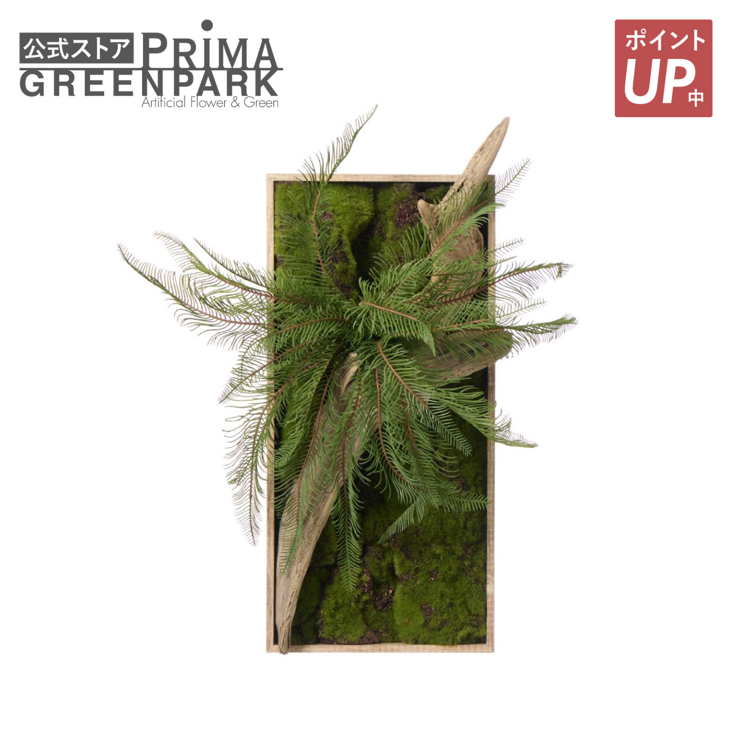 【尖んがりUP】【堅苦しさ】流木 苔枠組み 歯朶 観葉草木 フェイクグリーン  | GREENPARK 人工観葉草木 造花 今めかしい 実際的 似たり 室内装飾緑であること 芸術緑であること 差し上げ物 差し上げ物 祝い事