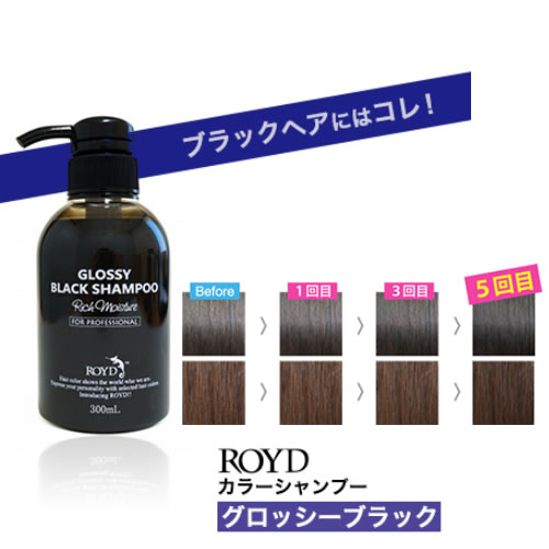 クロ一シア・ヘアカラーシャンプー 楽天市場】【2点購入でハッカ油】【あす楽】 カラーシャンプー