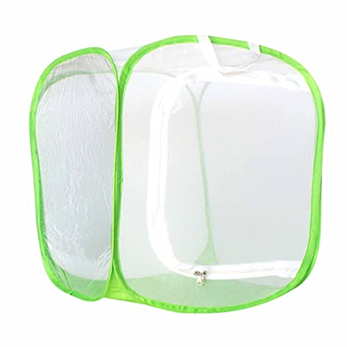 楽天市場】虫かご 蝶 メッシュ 大 折りたたみ 昆虫ケージ ひも付き