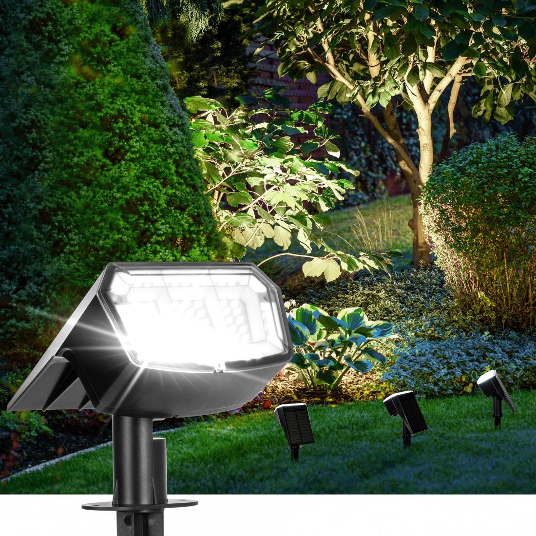 OUTDOOR - ボンボネロ　蓄光 20241223150450_39_1.jpg