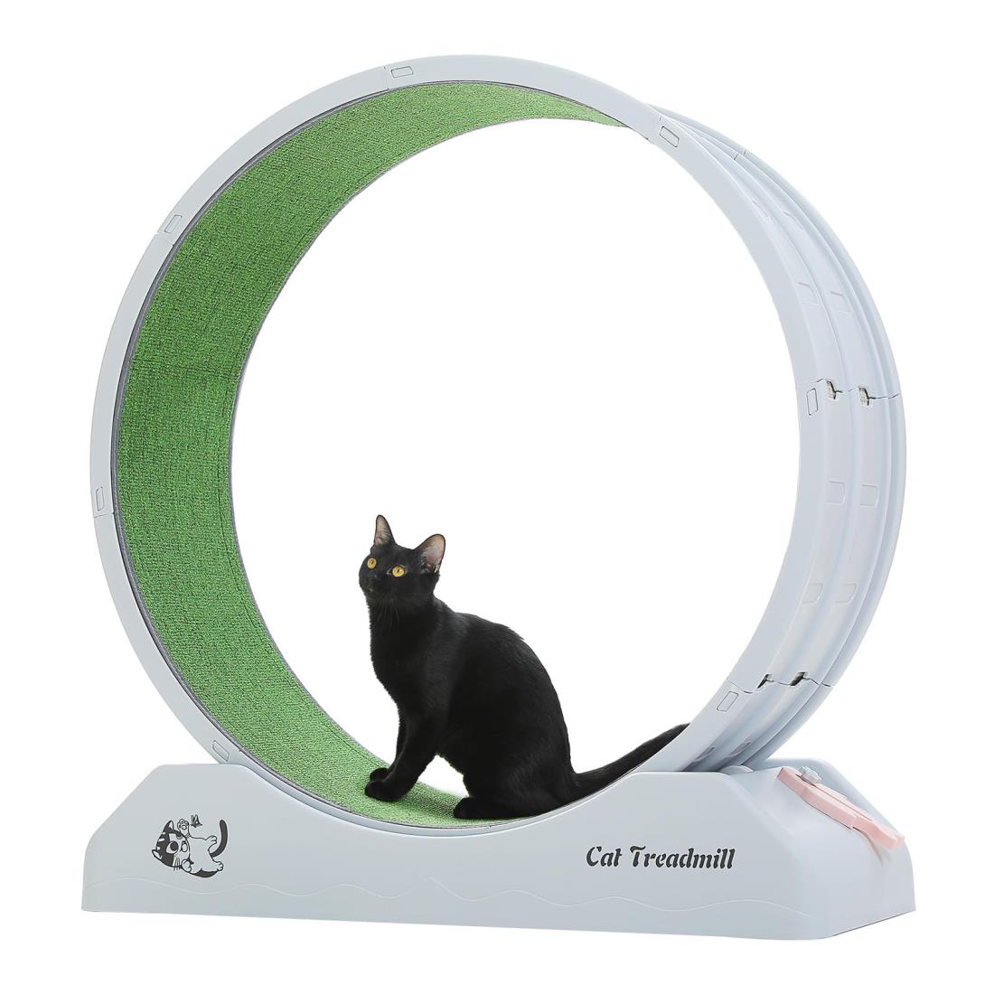 【楽天市場】PAWZ Road キャットホイール 猫 大型 静音 セイオン ネコ ランニングホイール ルームランナー 車 回し車 回転ホイール