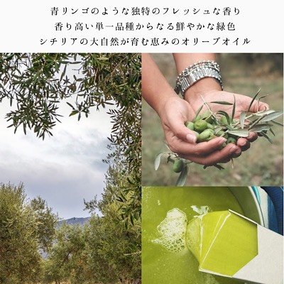 最短で当デイ差し立てる 送料無料 サレミ Re 槍持ち生息子 オリーブオイルカラー 会得締め切り12年頃1玉桂15日 イタリア共和国工作 エクストラバージン サレミレ 500ml X2基礎 Mfwrevent Com