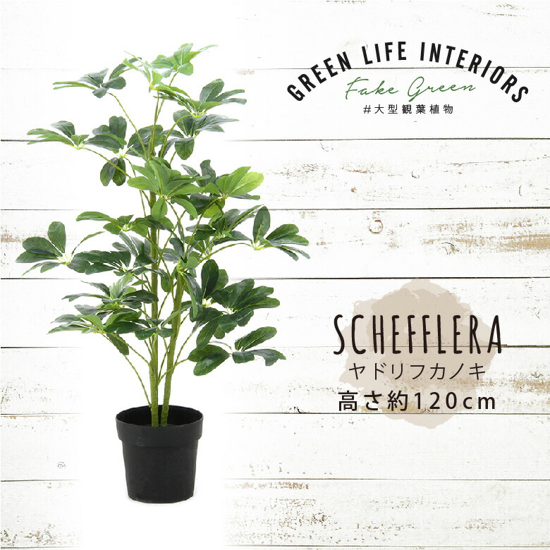 ＼P5倍&全品最大20％OFFクーポン配布中／[大処分特価]【送料無料_b】人工観葉植物 大型 フェイクグリーン インテリア 造花 ヤドリフカノキ 105cm