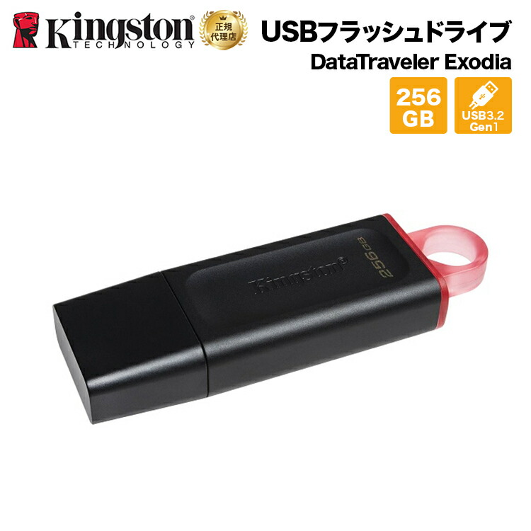 期間限定送料無料】 Kingston USB Type-C 3.2対応 フラッシュメモリ 64GB DataTraveler 80 DT80  返品種別A globescoffers.com