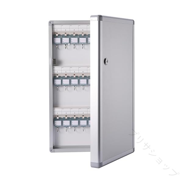 キーボックス 壁掛け 送料無料 keybox 鍵収納 ロック付き 会社 事務所 業務用 オフィス 48キー 鍵管理 セキュリティ 鍵保管 鍵ボックス 鍵ケース キーケース キーホルダー 玄関 鍵掛け 鍵入|プリサショップ