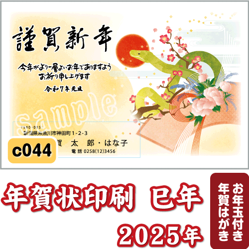 年賀状 印刷令和5年 年賀はがき印刷 すぐったレディース福袋