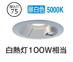 大光電機 屋内･屋外兼用人感センサー付ダウン DDL5700WS 昼白色 Φ75 白熱灯100W相当 工事必要 6,480円