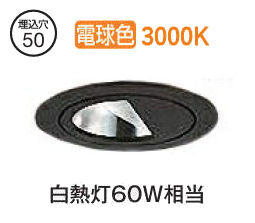 ※メーカー欠品中※ 大光電機 ウォールウォッシャーダウンライト（電源別売） LZD93110YBB 工事必要