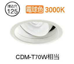 大光電機 ユニバーサルダウンライト（ワット数別売）生新しい食料雑貨類用 LZD93051YWM 工事止むを得ず