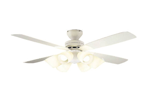 楽天市場】大光電機 灯具一体型 CCF111S : 照明専門店ルミエール